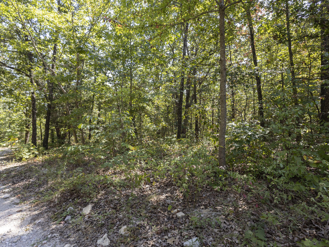 Photo 5 - Land for sale – 000  State Highway Ak   Ava, MO