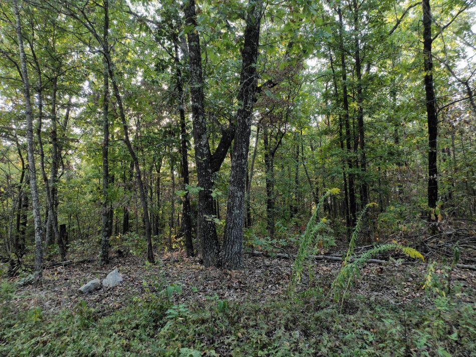 Photo 6 - Land for sale – 000  State Highway Ak   Ava, MO