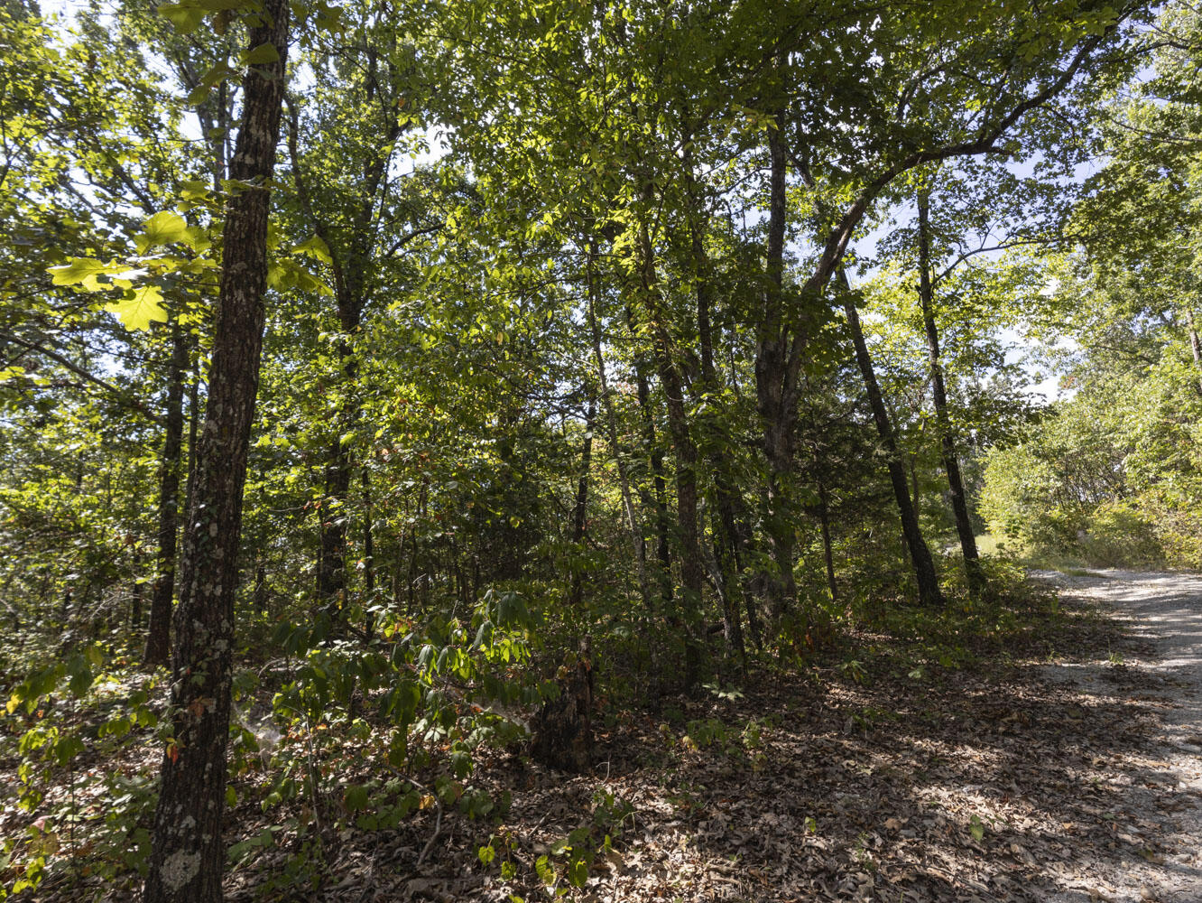Photo 13 - Land for sale – 000  State Highway Ak   Ava, MO