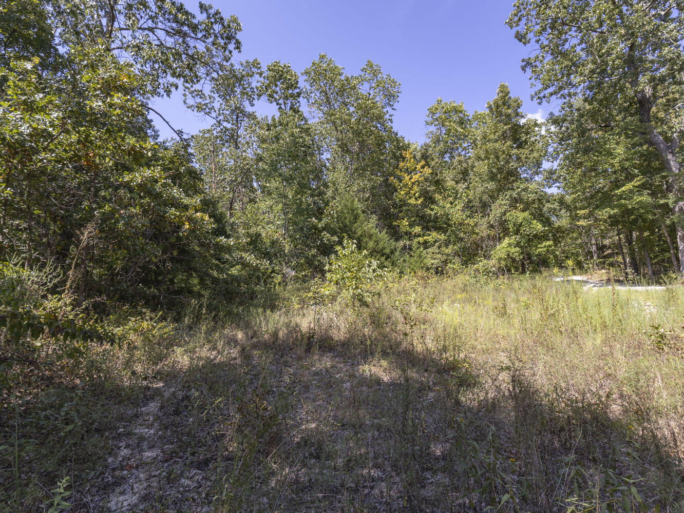 Photo 15 - Land for sale – 000  State Highway Ak   Ava, MO