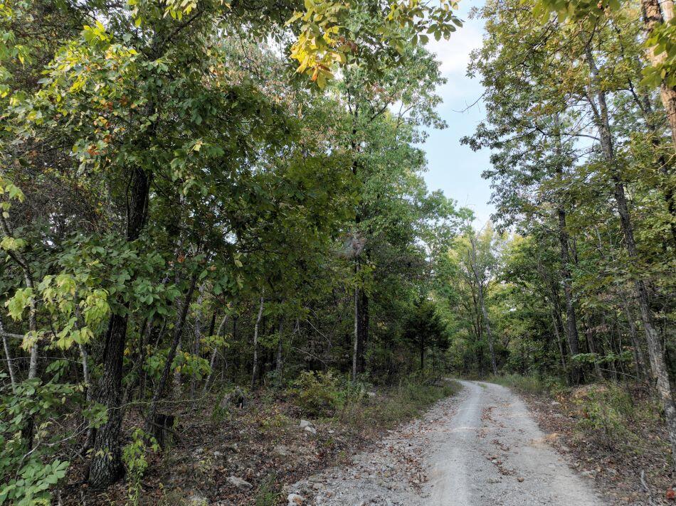 Photo 14 - Land for sale – 000  State Highway Ak   Ava, MO