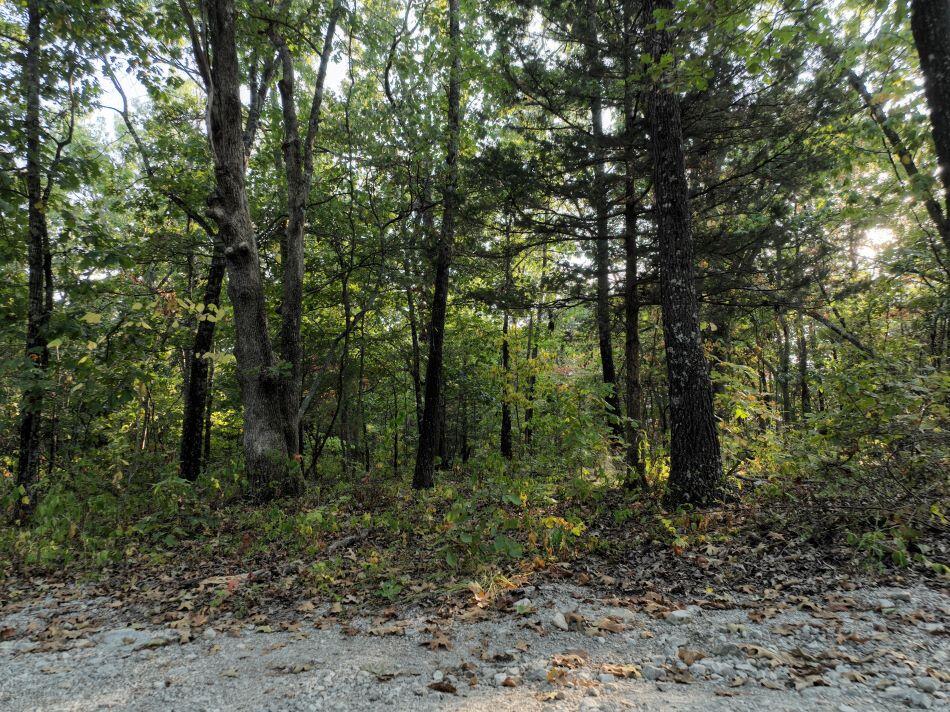 Photo 4 - Land for sale – 000  State Highway Ak   Ava, MO