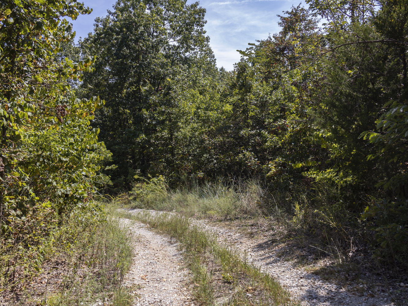 Photo 3 - Land for sale – 000  State Highway Ak   Ava, MO