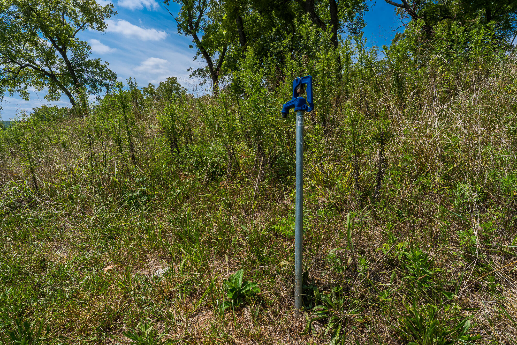 Photo 94 - Commercial Sale for sale – 10638  Ottawa Drive  Conway, MO