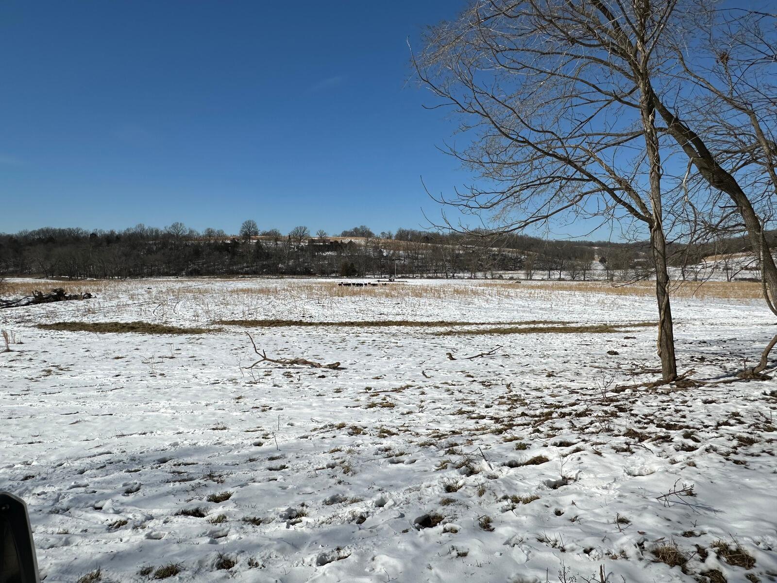 Photo 101 - Residential for sale – 300  Round Up Lane   Bakersfield, MO