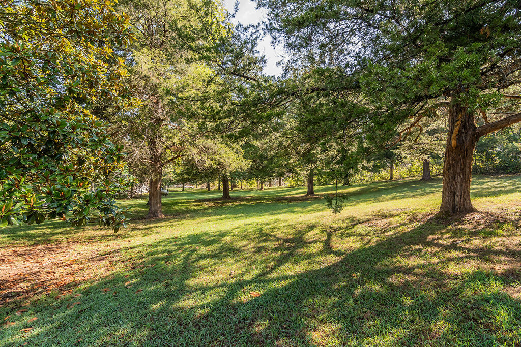 Photo 4 - Residential for sale – 161  Brewster Road  Hollister, MO