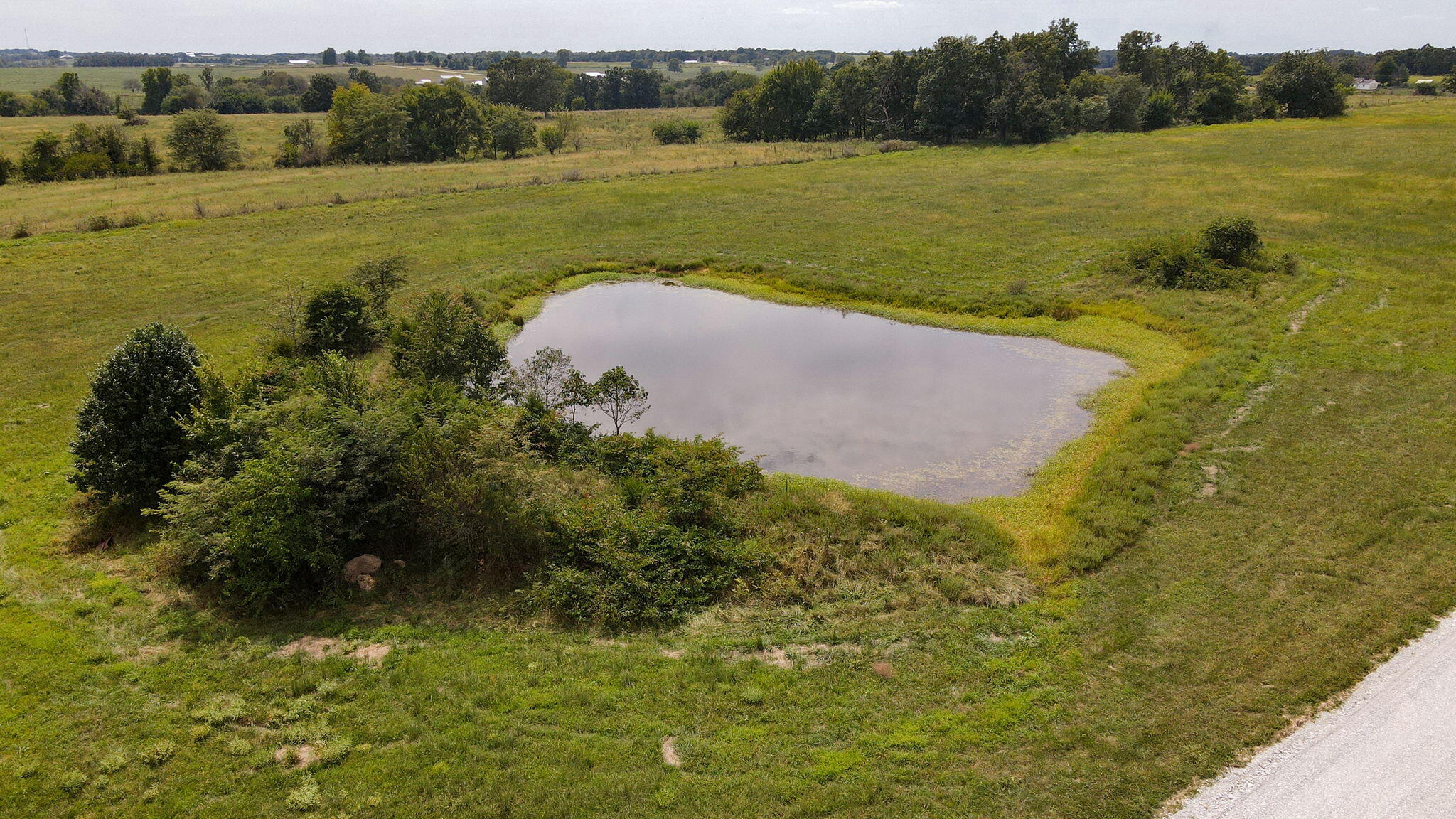 Photo 18 - Land for sale – Tract #12  State Hwy Ee   Elkland, MO