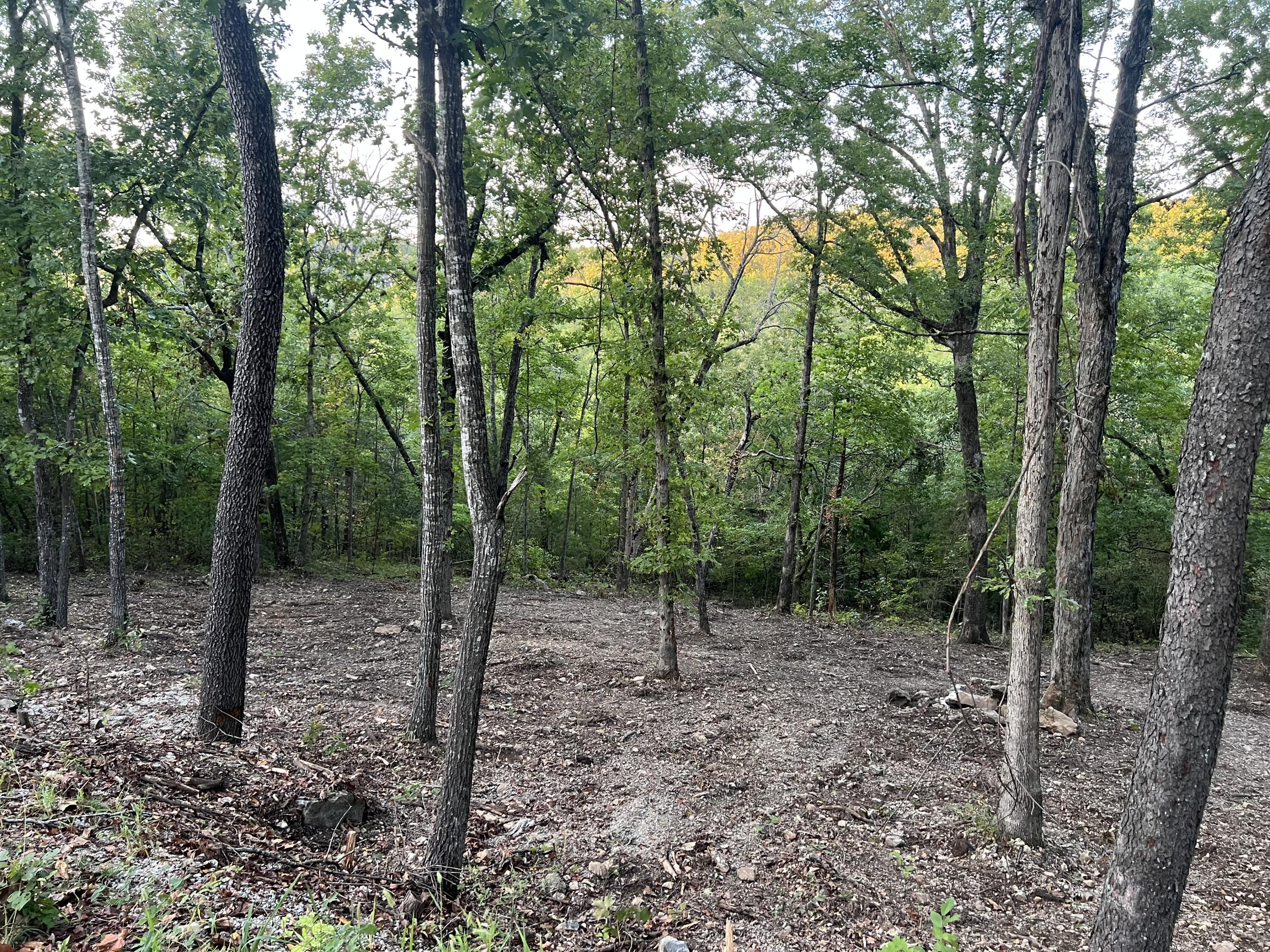 Photo 3 - Land for sale – 190  Deer Dr   Ridgedale, MO