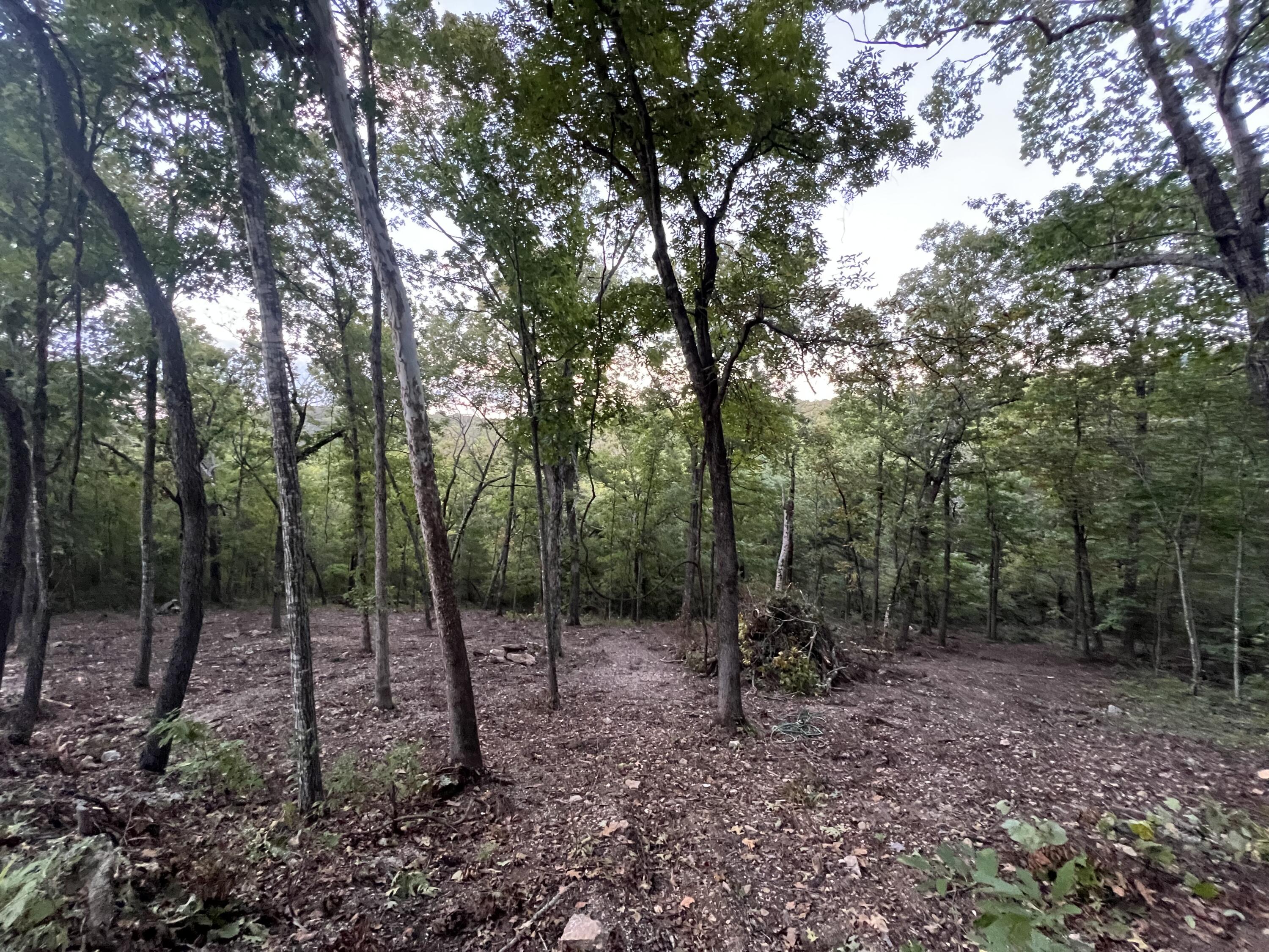Photo 4 - Land for sale – 190  Deer Dr   Ridgedale, MO