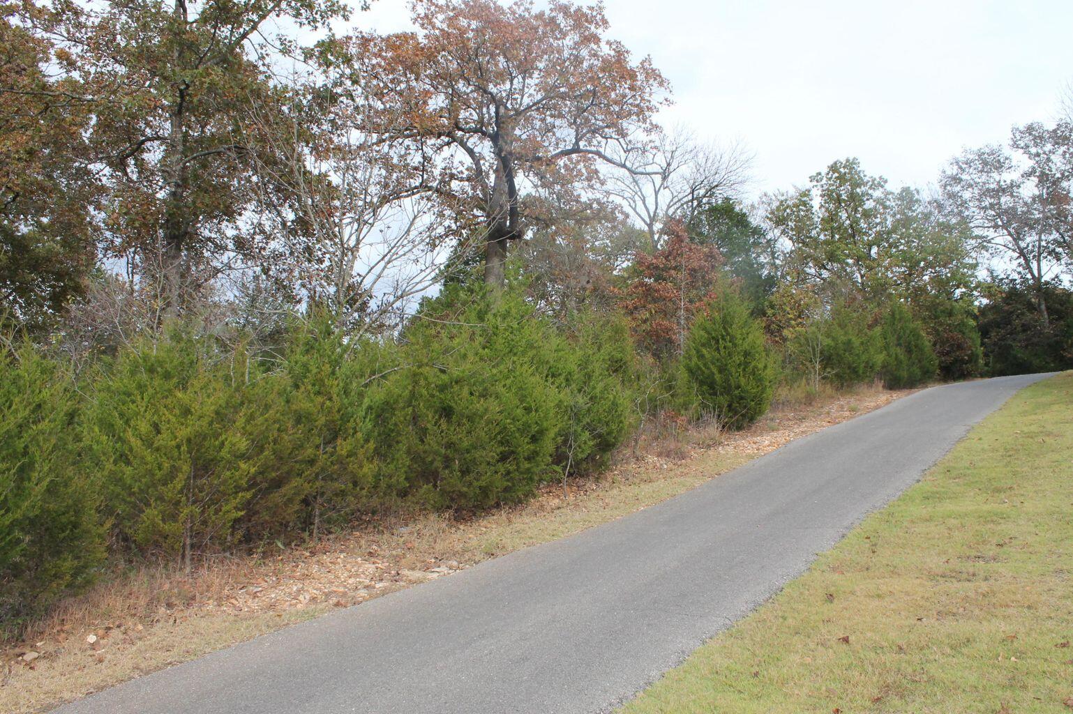 Photo 2 - Land for sale – 415  Silverwood Circle  Branson West, MO