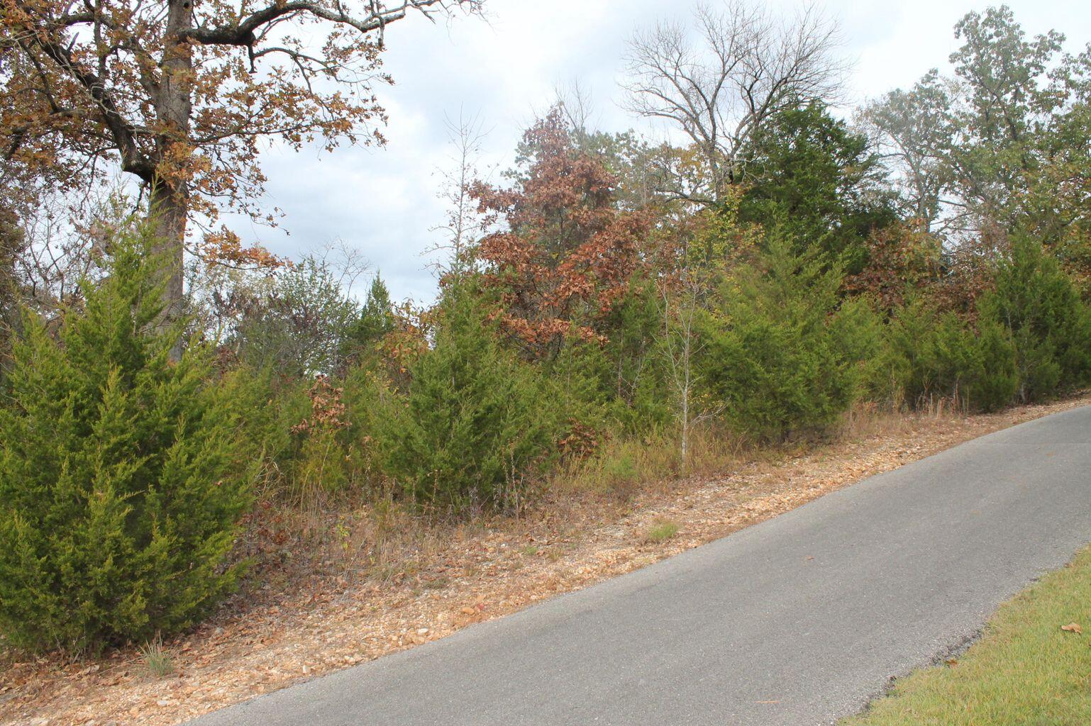 Photo 4 - Land for sale – 415  Silverwood Circle  Branson West, MO