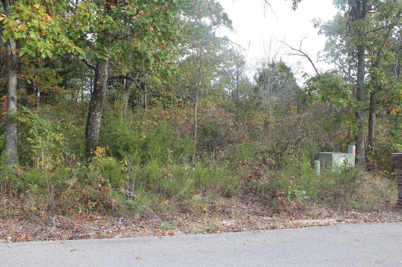 Land for sale – 415  Silverwood Circle  Branson West, MO