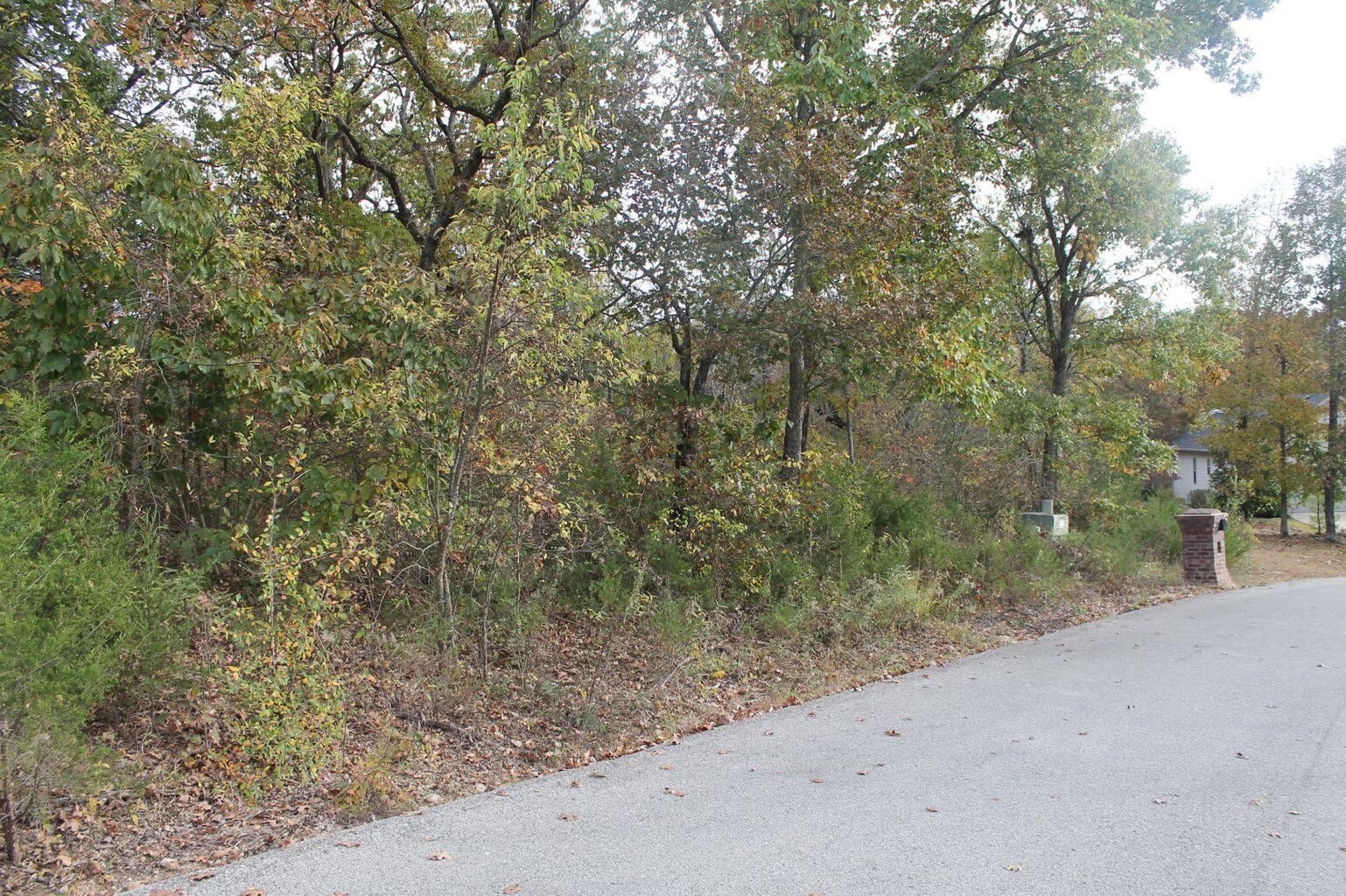Photo 3 - Land for sale – 415  Silverwood Circle  Branson West, MO