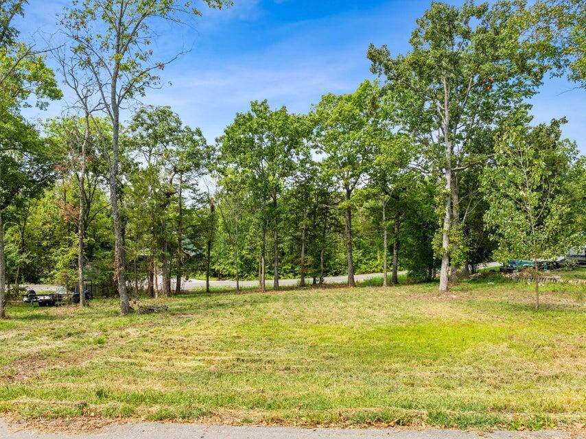 Photo 4 - Land for sale – 000  Tuttle Road  Hollister, MO
