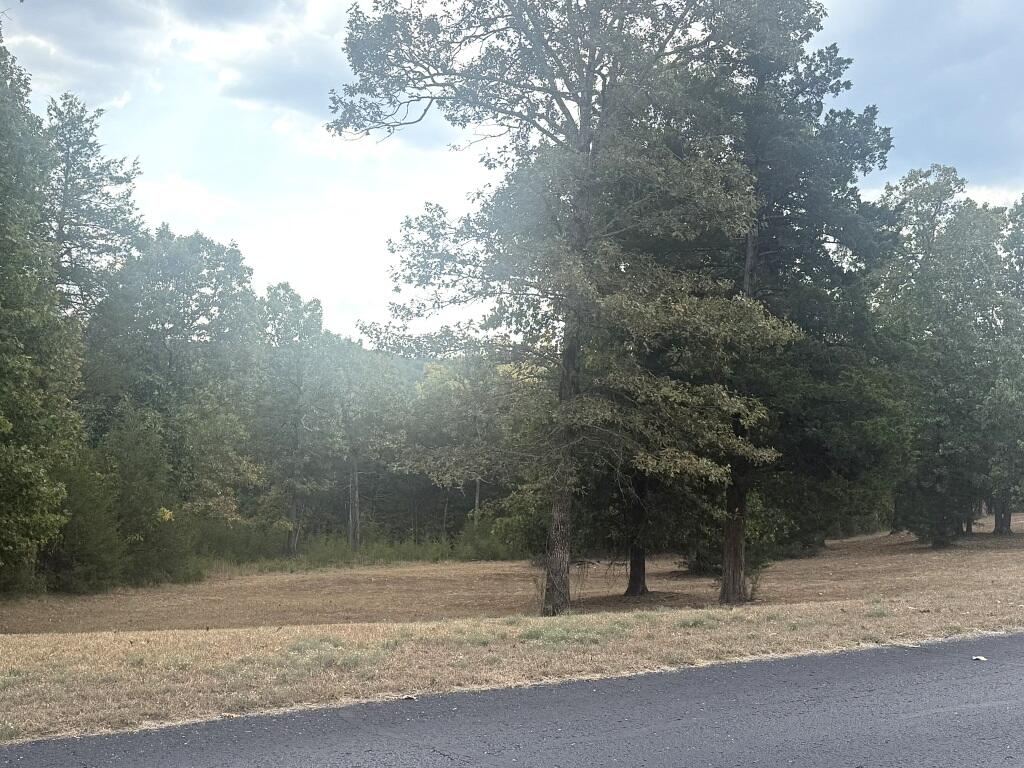 Photo 9 - Land for sale – 121  Ranch Road  Saddlebrooke, MO