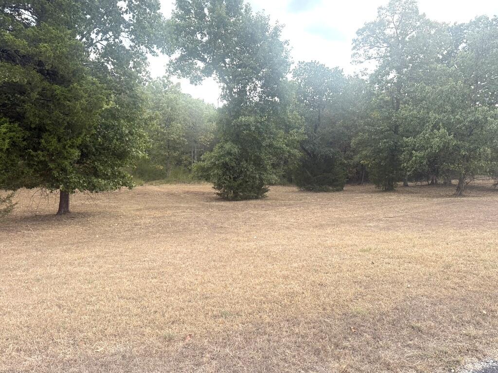 Photo 3 - Land for sale – 121  Ranch Road  Saddlebrooke, MO