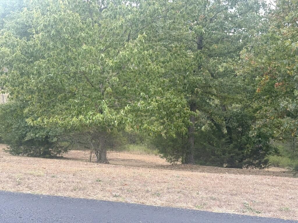 Photo 11 - Land for sale – 121  Ranch Road  Saddlebrooke, MO