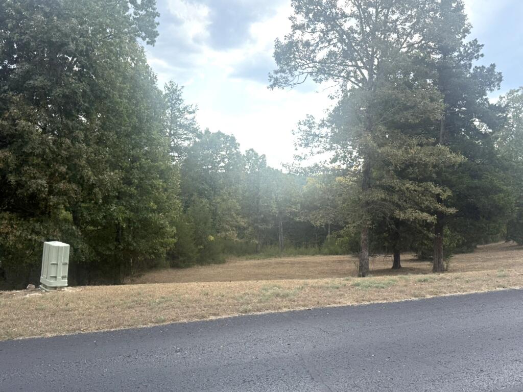 Photo 8 - Land for sale – 121  Ranch Road  Saddlebrooke, MO