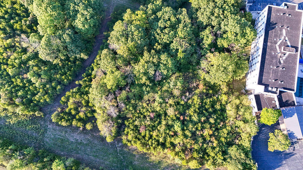 Photo 27 - Land for sale – 000  Shepherd Of The Hills Expressway  Branson, MO