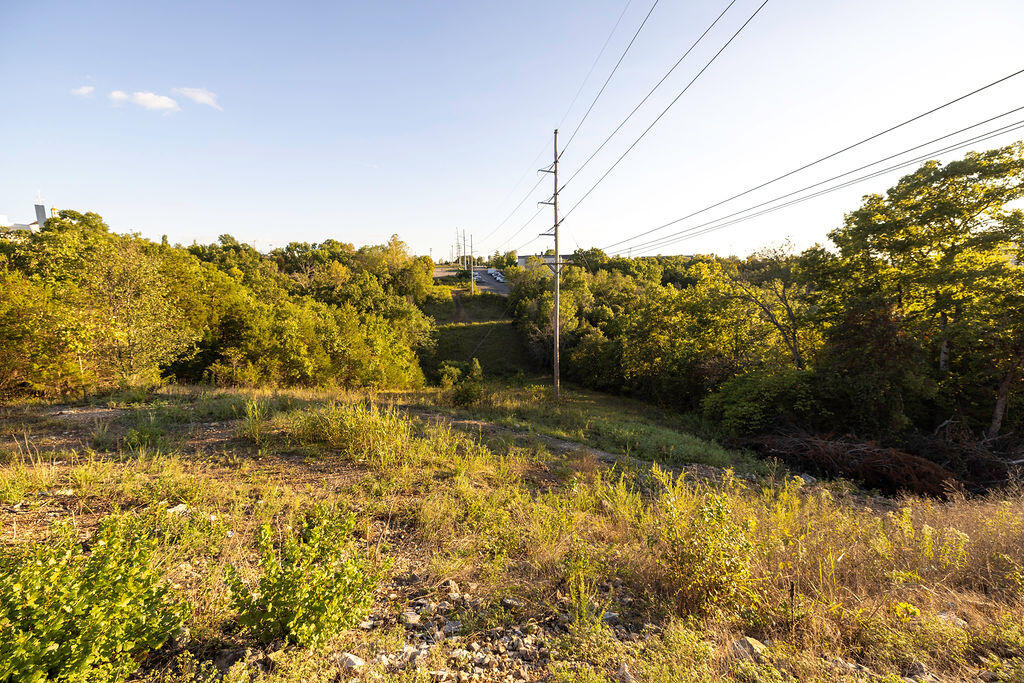 Photo 69 - Land for sale – 000  Shepherd Of The Hills Expressway  Branson, MO