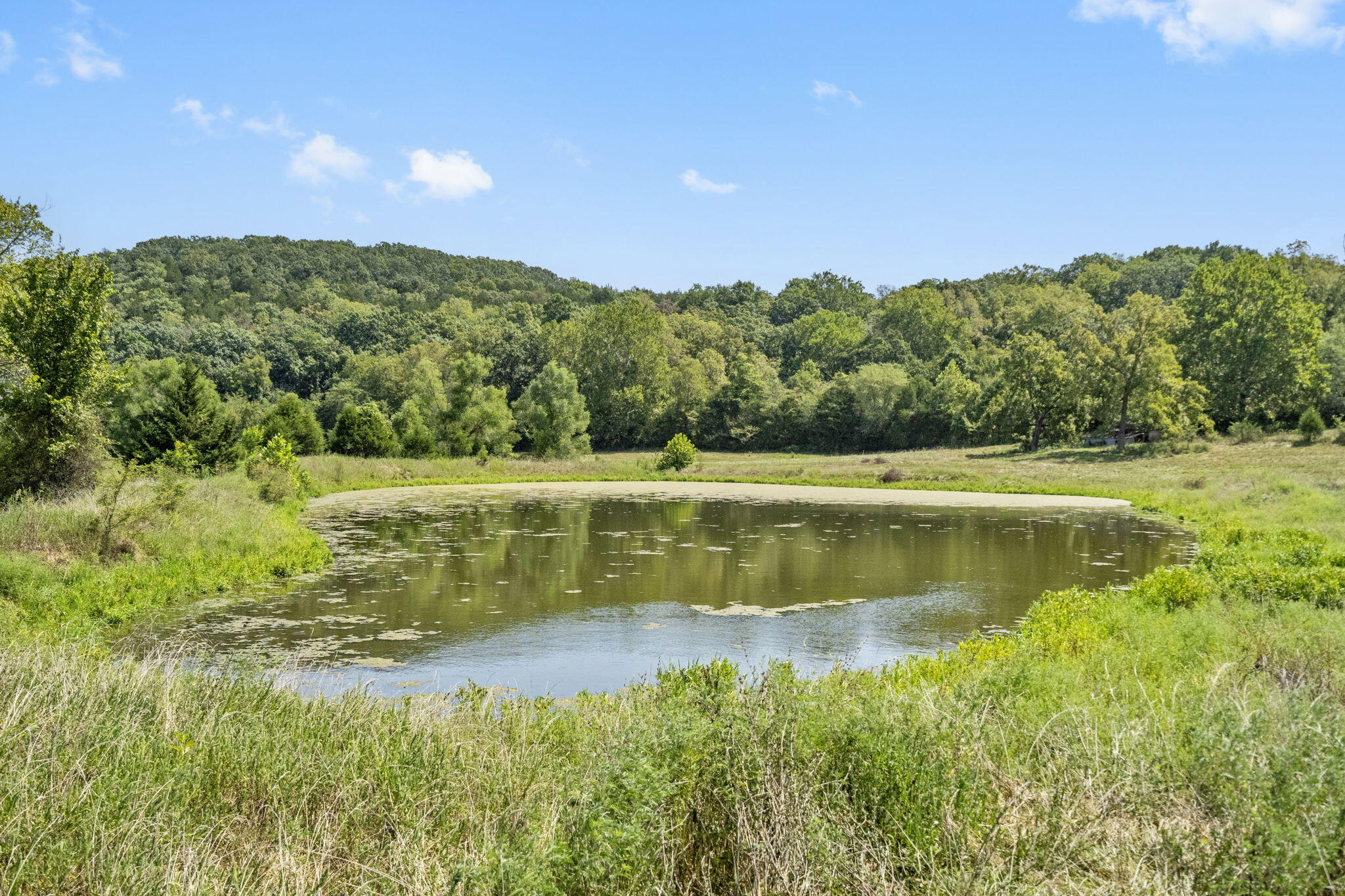 Photo 34 - Farm for sale – 16311  Sunburst Road   Lebanon, MO