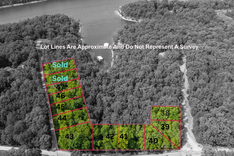 Photo 2 - Land for sale – 000  Pecan Lane  Golden, MO