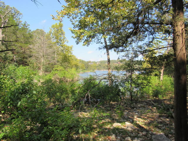 Photo 8 - Land for sale – 000  Pecan Lane  Golden, MO