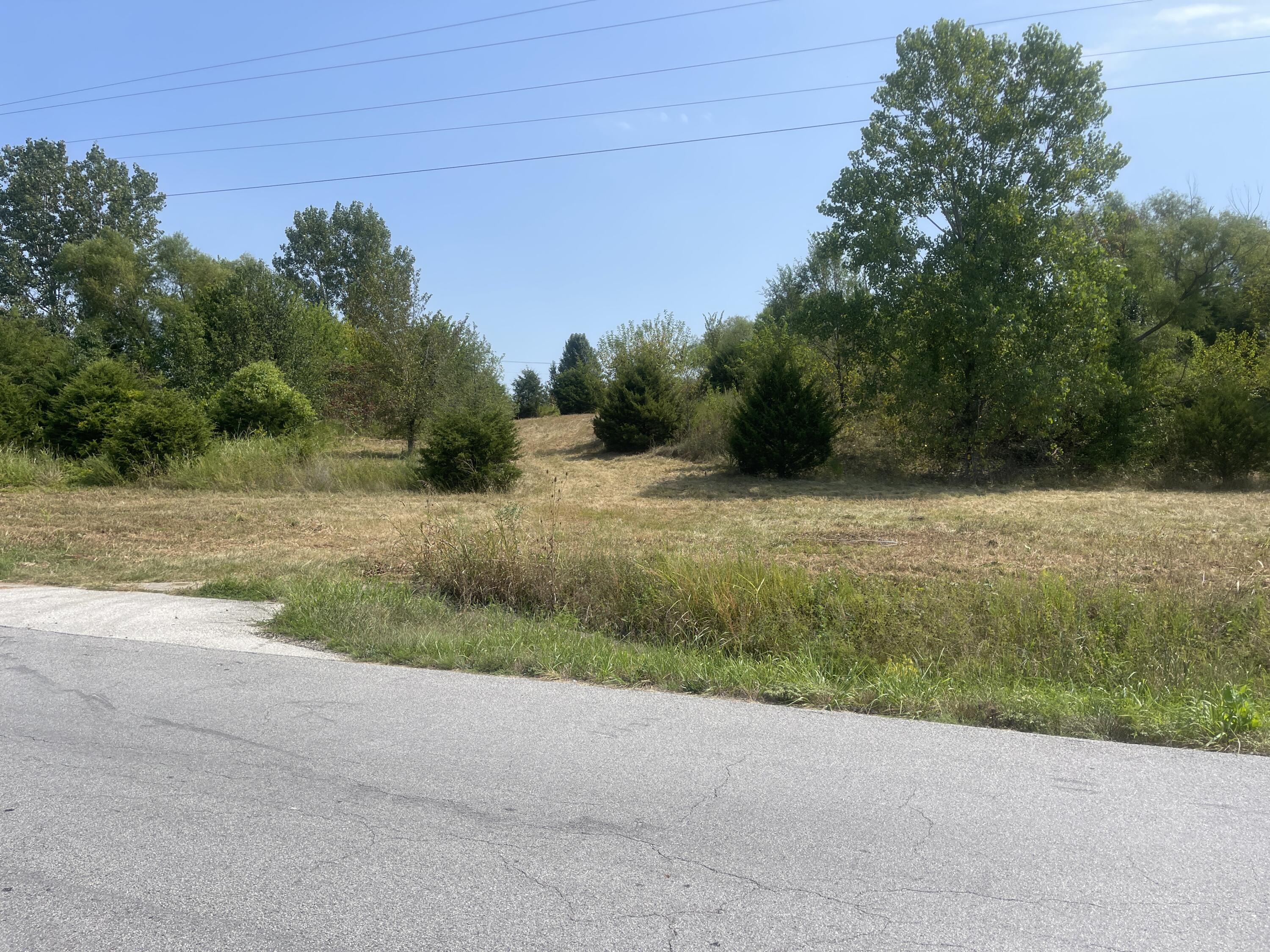 Photo 7 - Land for sale – 000 S Wommack Avenue  Bolivar, MO