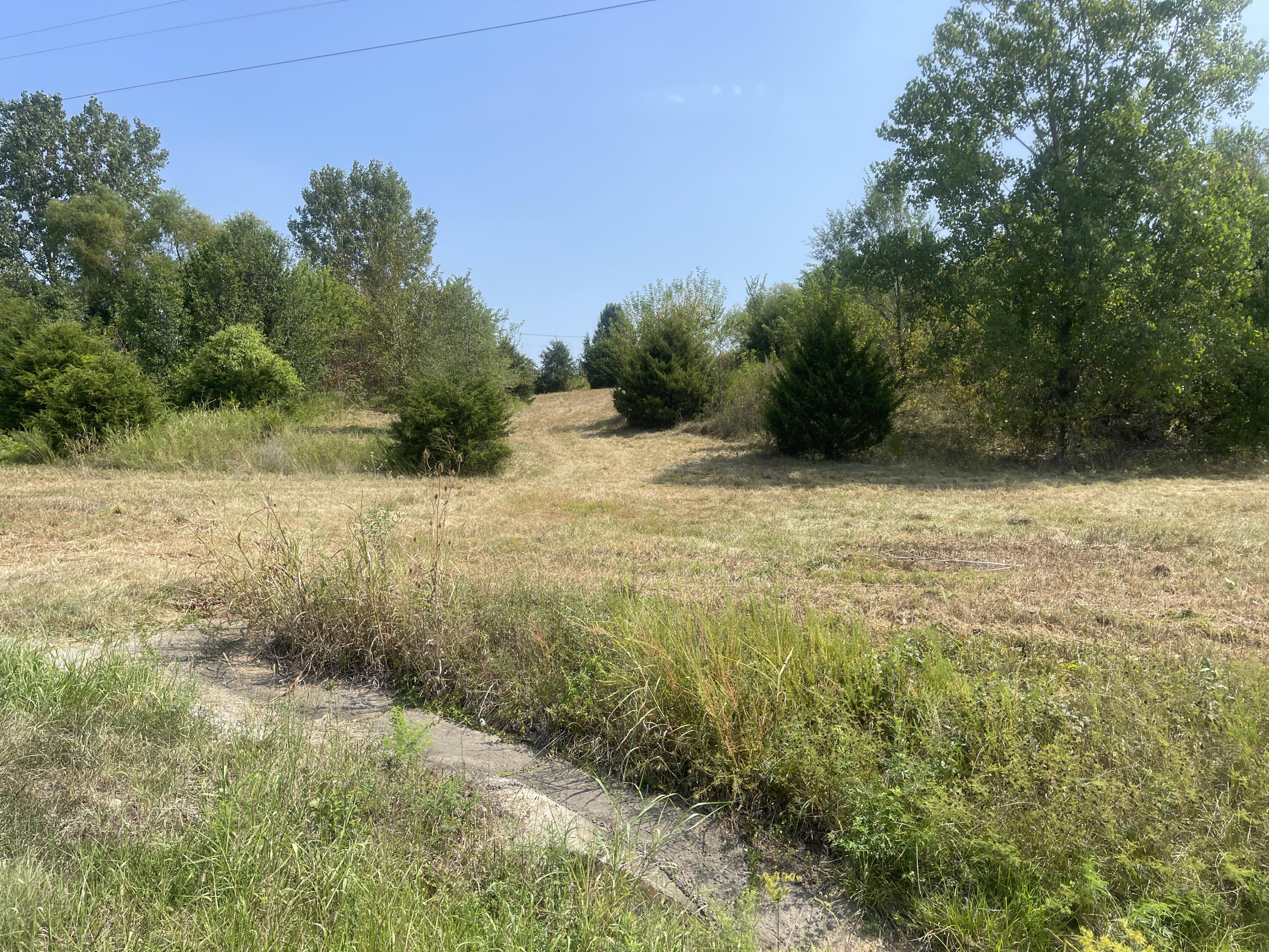 Photo 6 - Land for sale – 000 S Wommack Avenue  Bolivar, MO