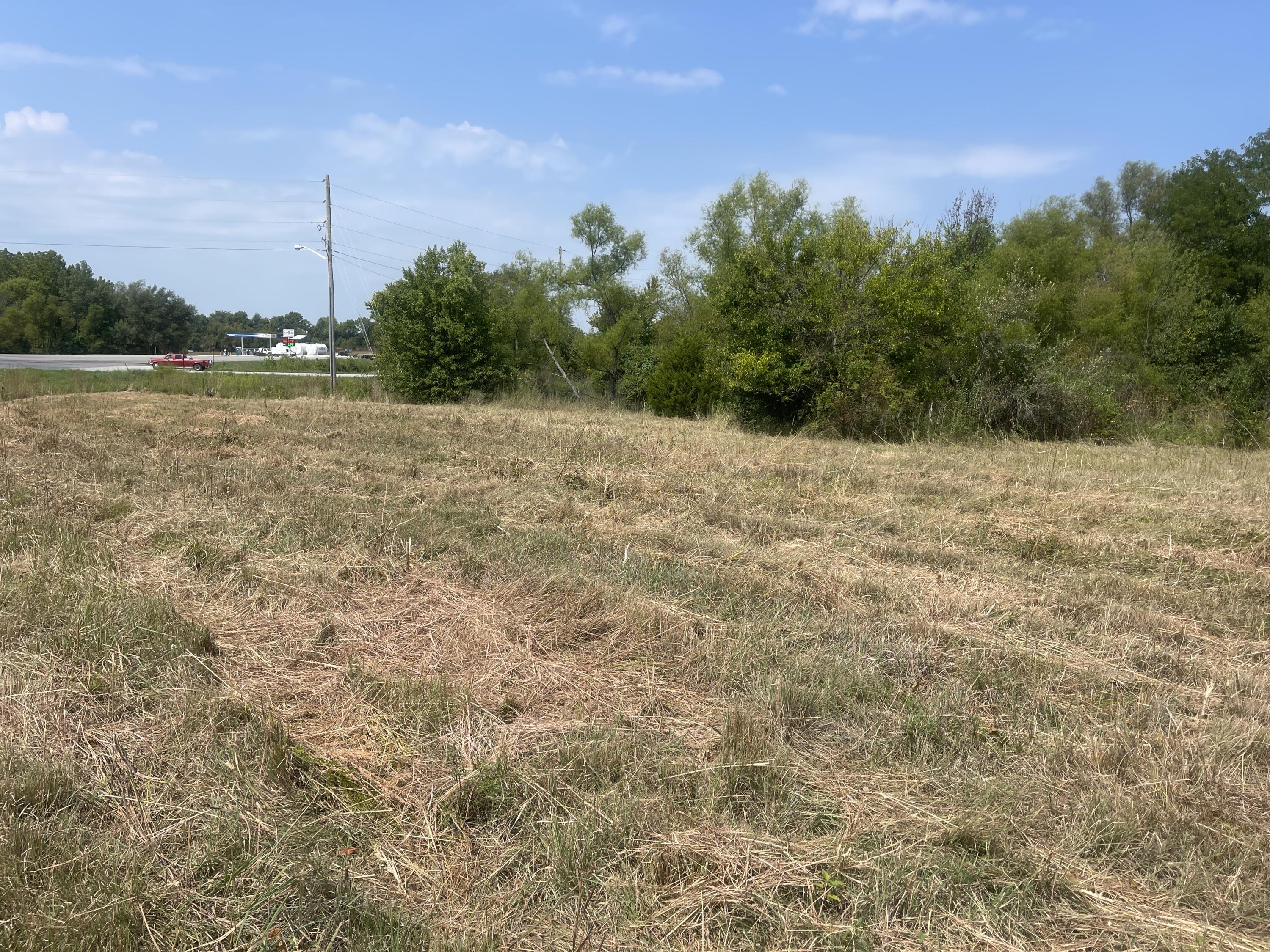 Photo 3 - Land for sale – 000 S Wommack Avenue  Bolivar, MO