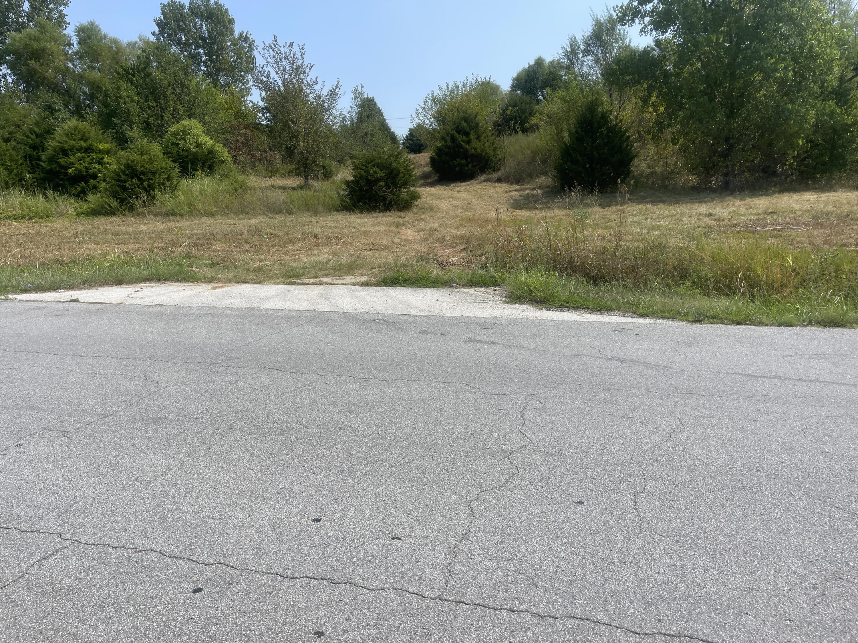 Photo 5 - Land for sale – 000 S Wommack Avenue  Bolivar, MO