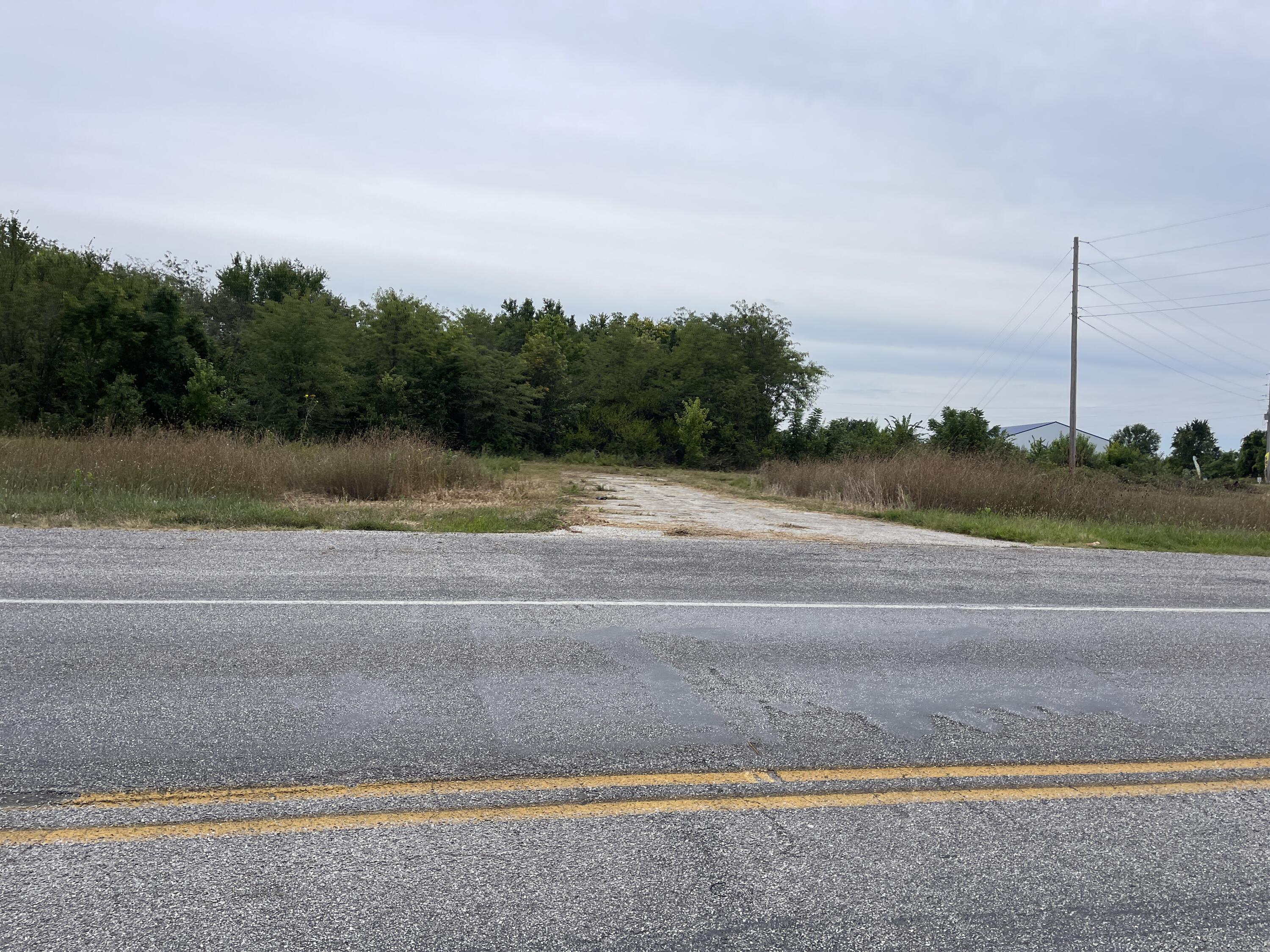 Land for sale – 000 W Aldrich Road  Bolivar, MO