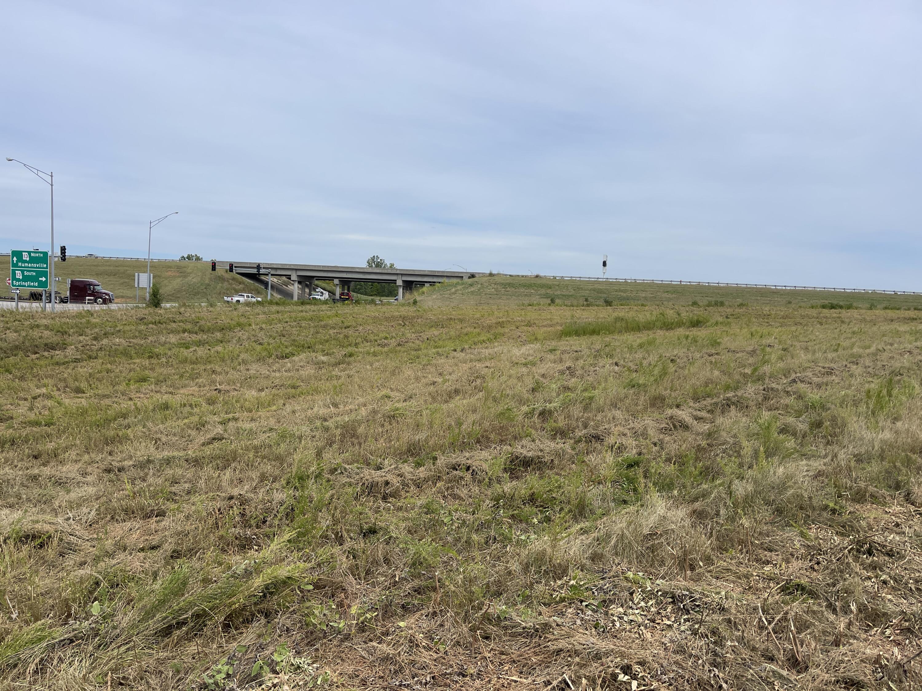 Photo 4 - Land for sale – 000 W Aldrich Road  Bolivar, MO