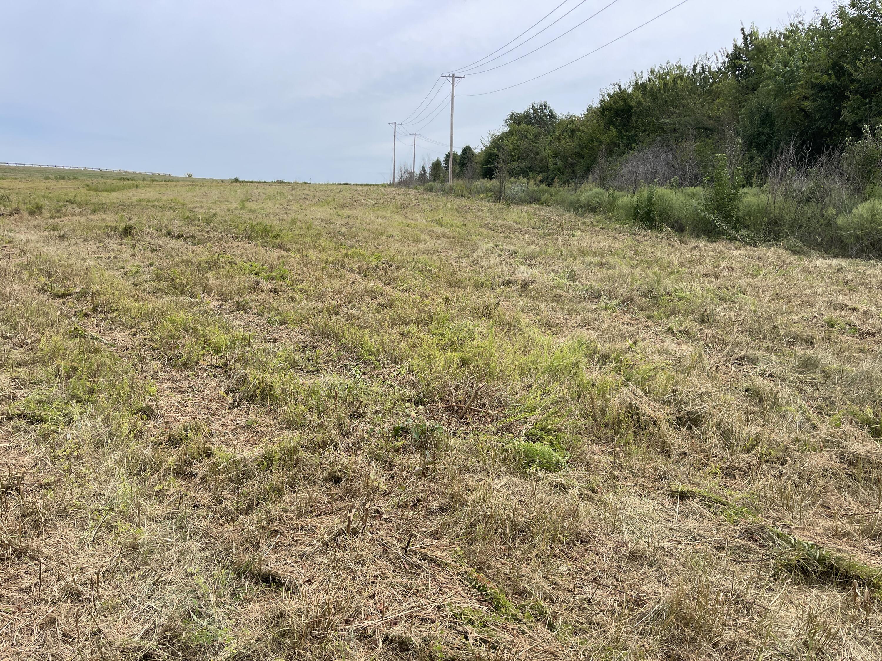 Photo 5 - Land for sale – 000 W Aldrich Road  Bolivar, MO
