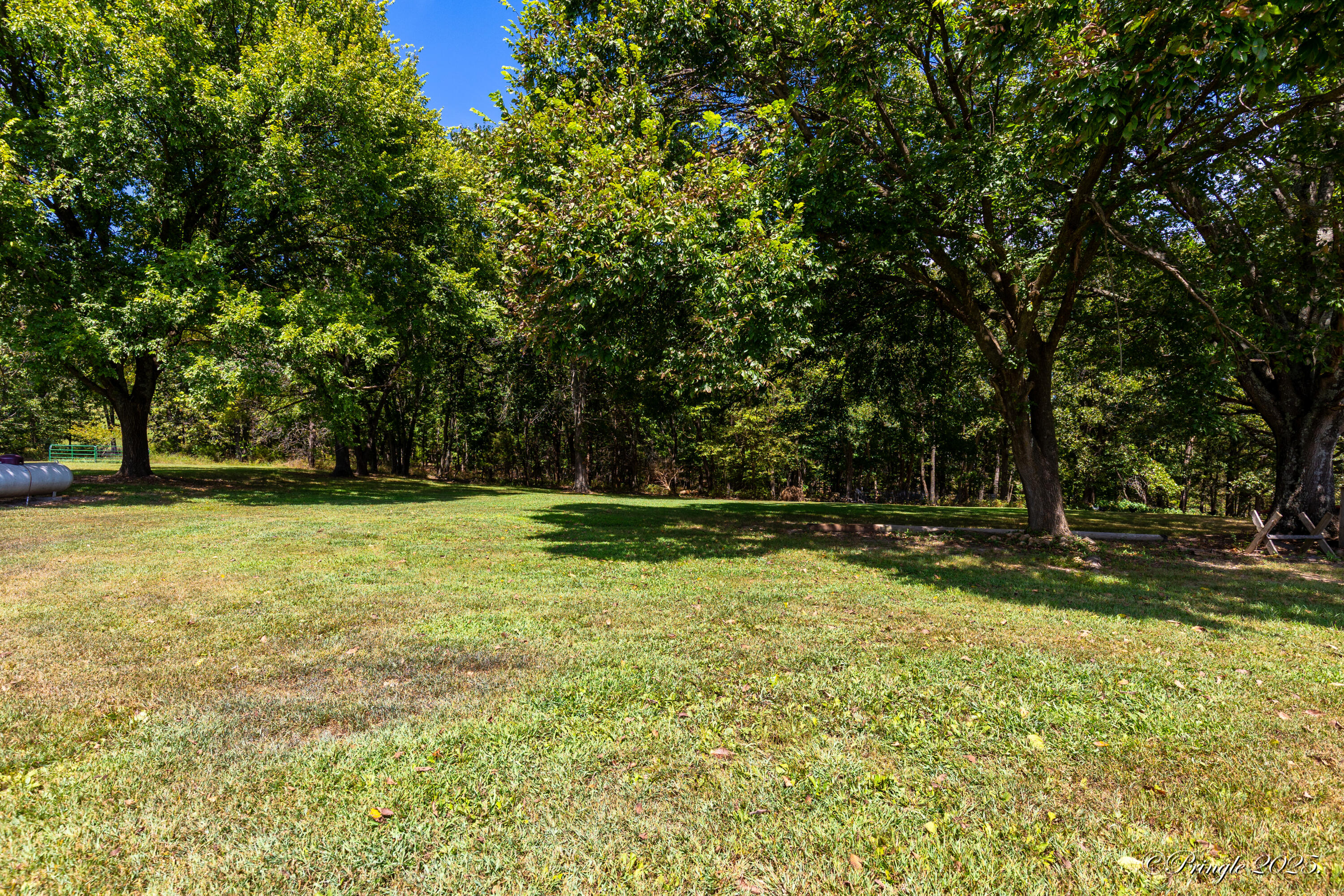 Photo 48 - Residential for sale – 3078  County Road E 14-353   Drury, MO