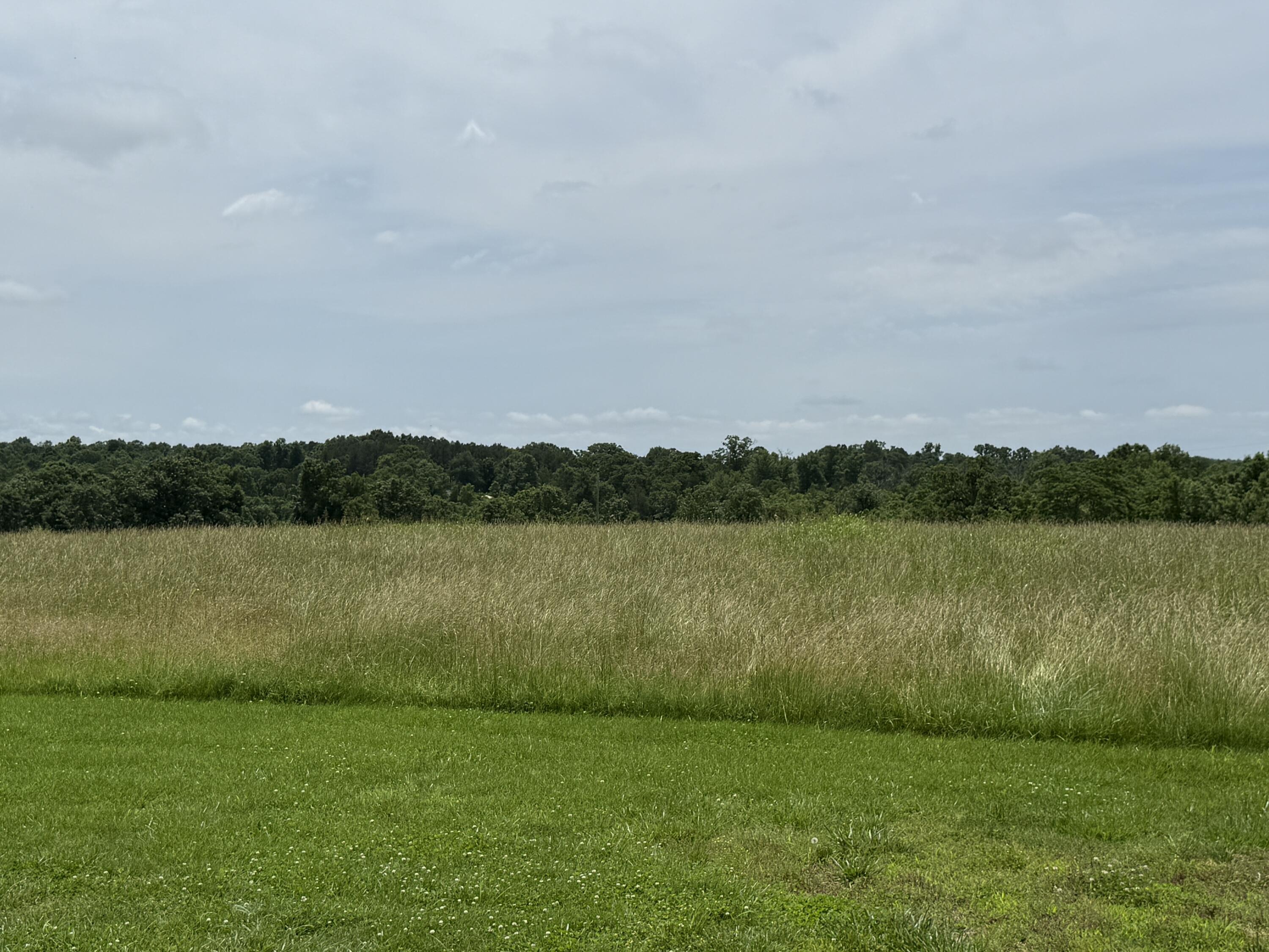 Photo 7 - Residential for sale – 3078  County Road E 14-353   Drury, MO