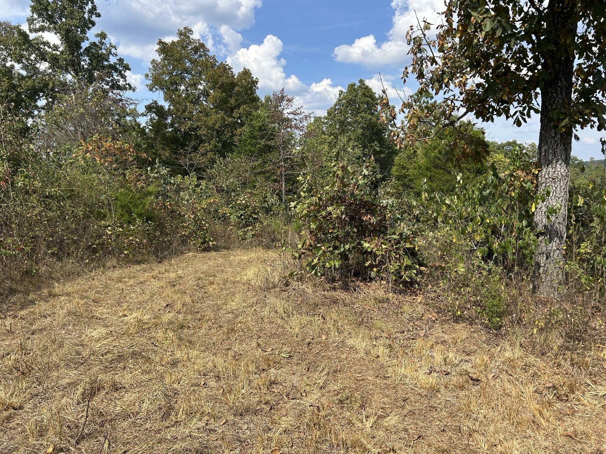 Photo 14 - Land for sale – Hc 73  Box 4925 (Track 20)   Drury, MO