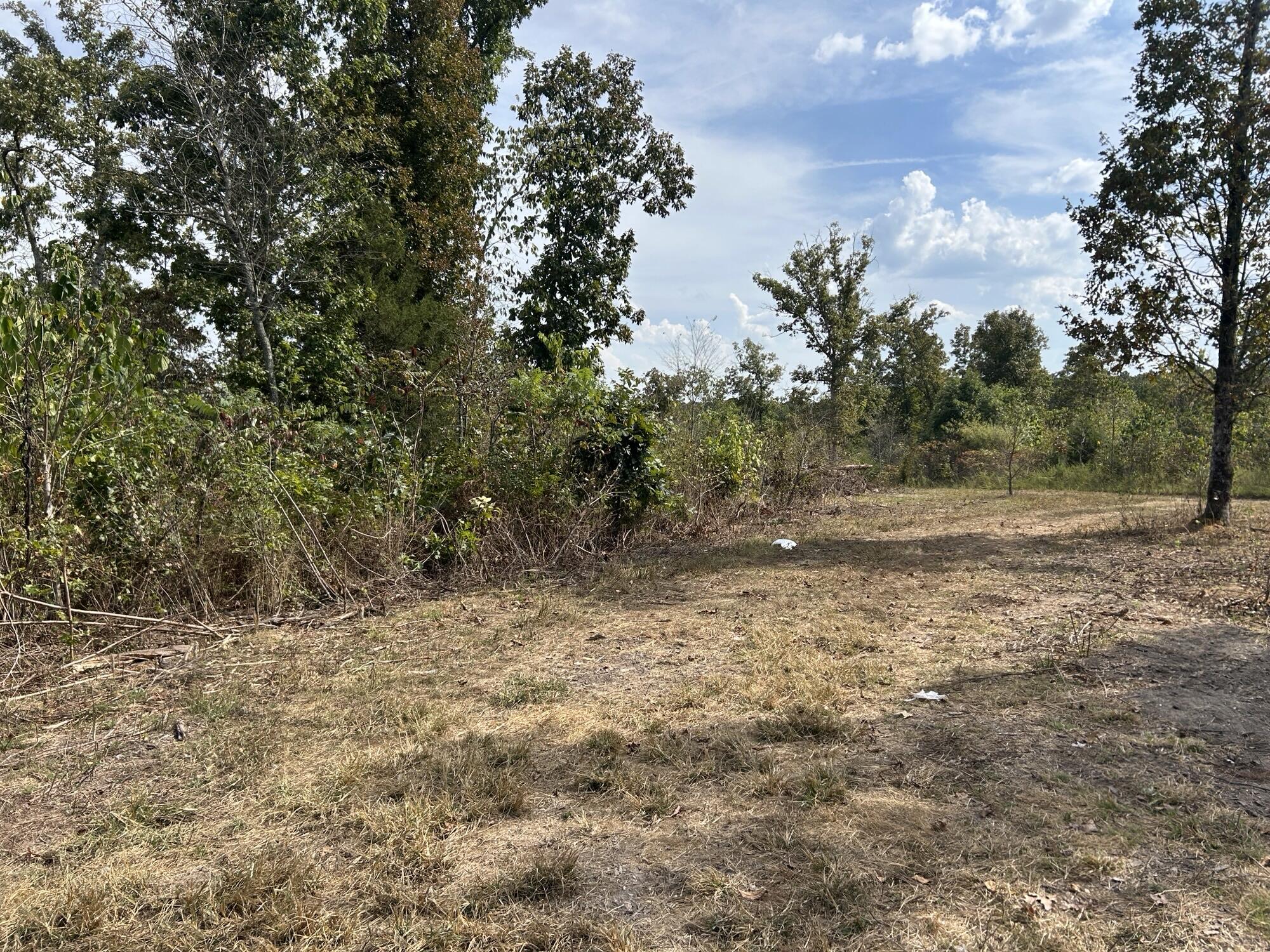 Photo 12 - Land for sale – Hc 73  Box 4925 (Track 20)   Drury, MO