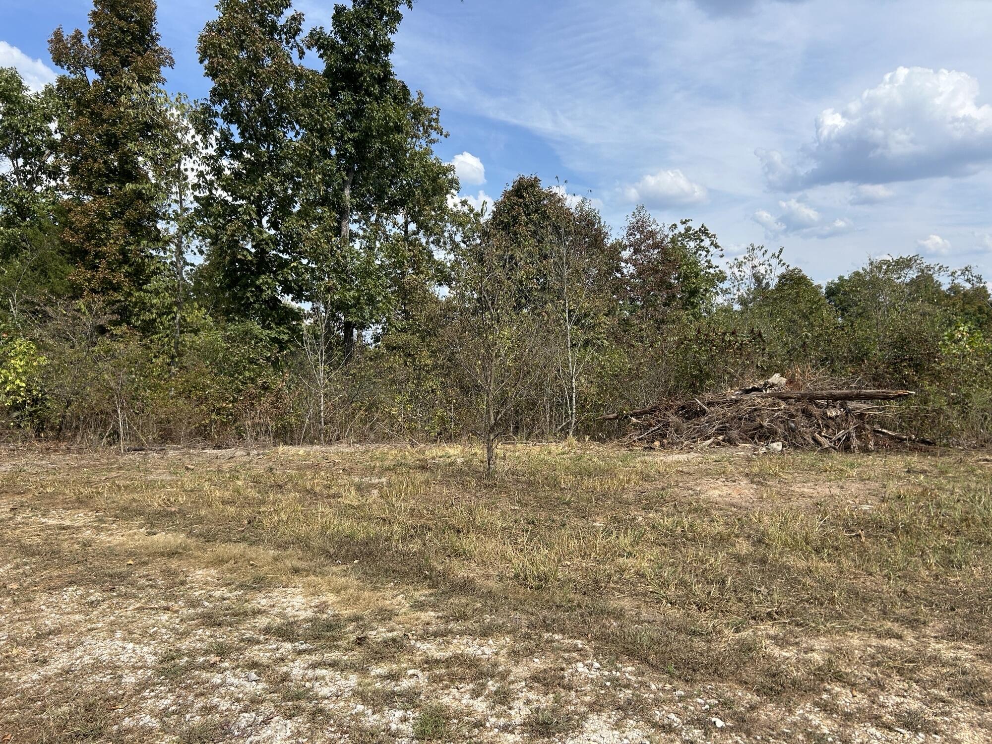 Photo 5 - Land for sale – Hc 73  Box 4925 (Track 20)   Drury, MO