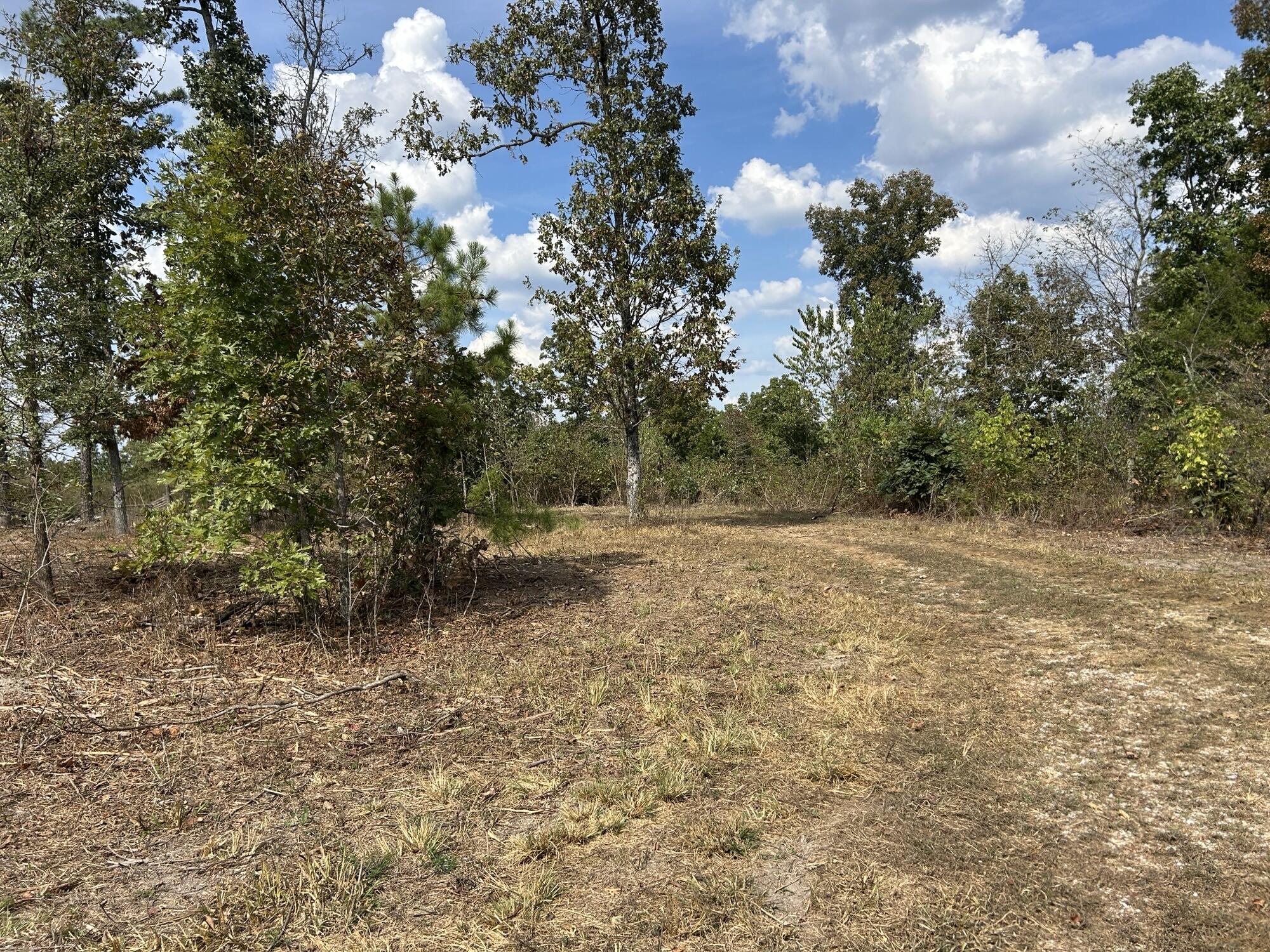 Photo 6 - Land for sale – Hc 73  Box 4925 (Track 20)   Drury, MO