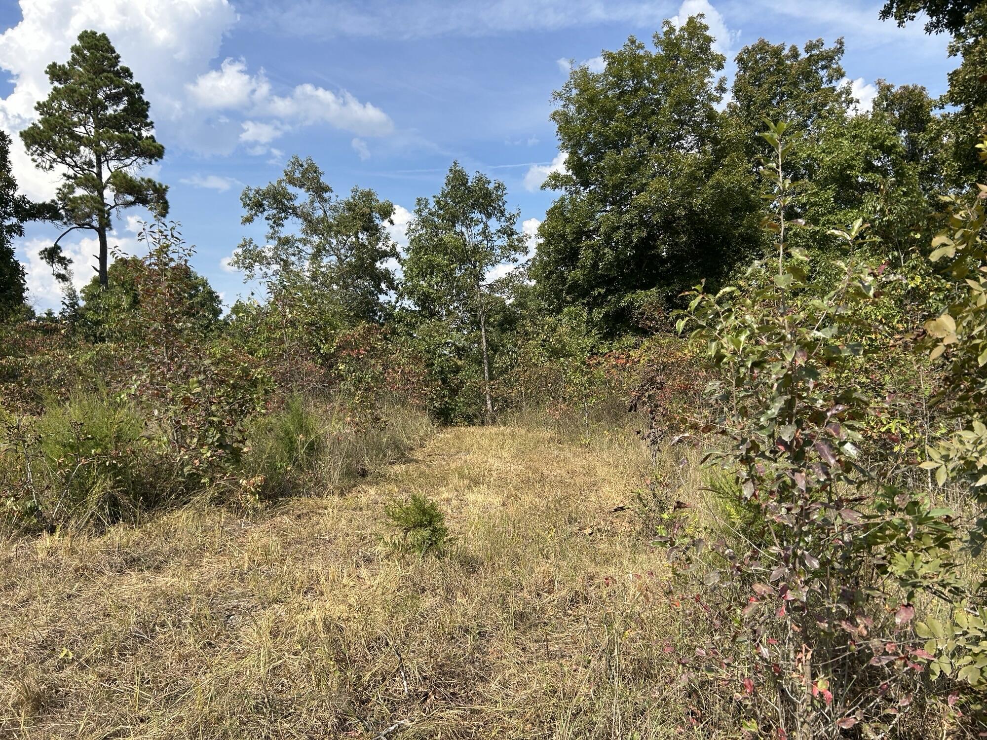 Photo 25 - Land for sale – Hc 73  Box 4925 (Track 20)   Drury, MO
