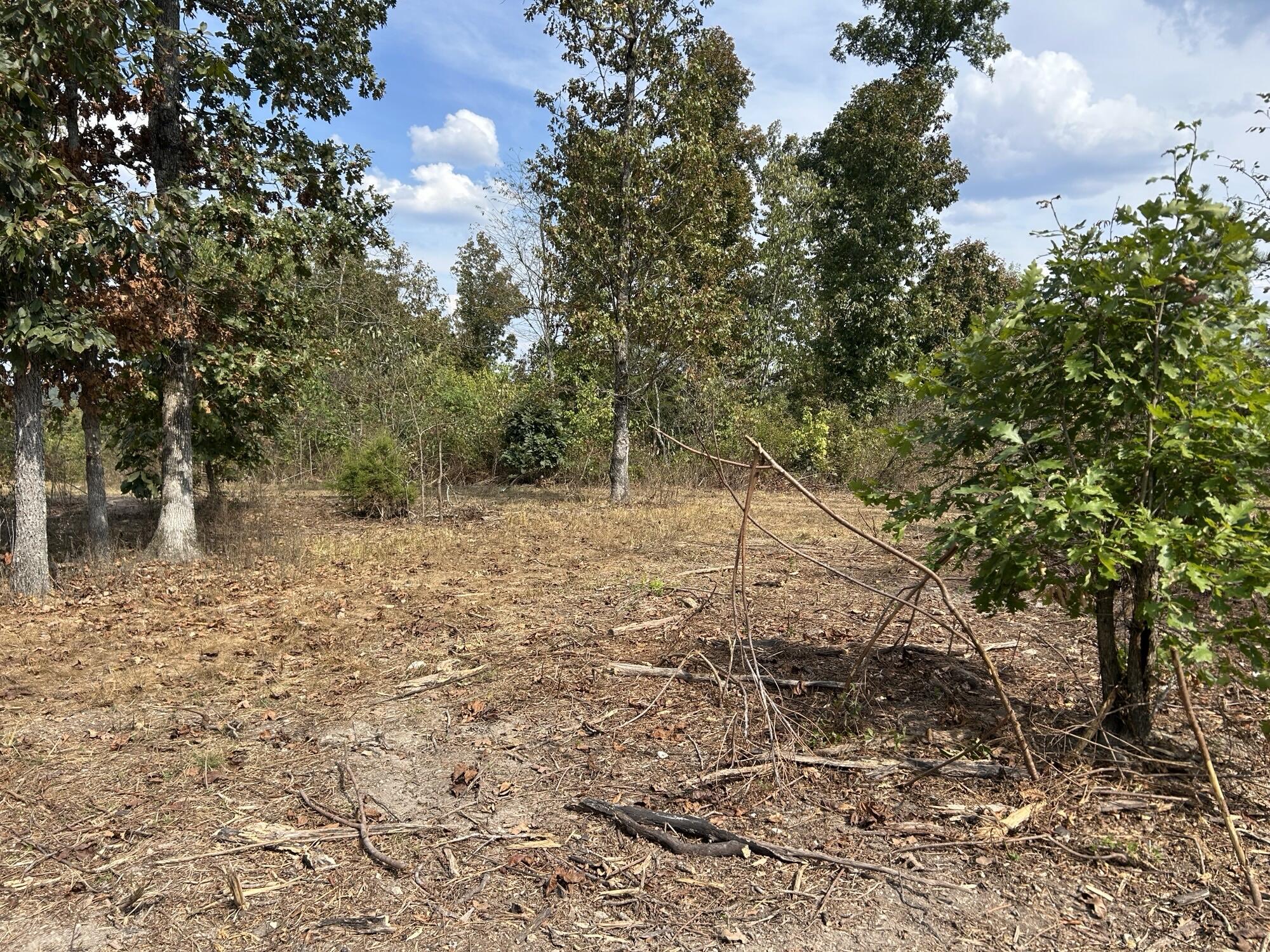Photo 9 - Land for sale – Hc 73  Box 4925 (Track 20)   Drury, MO