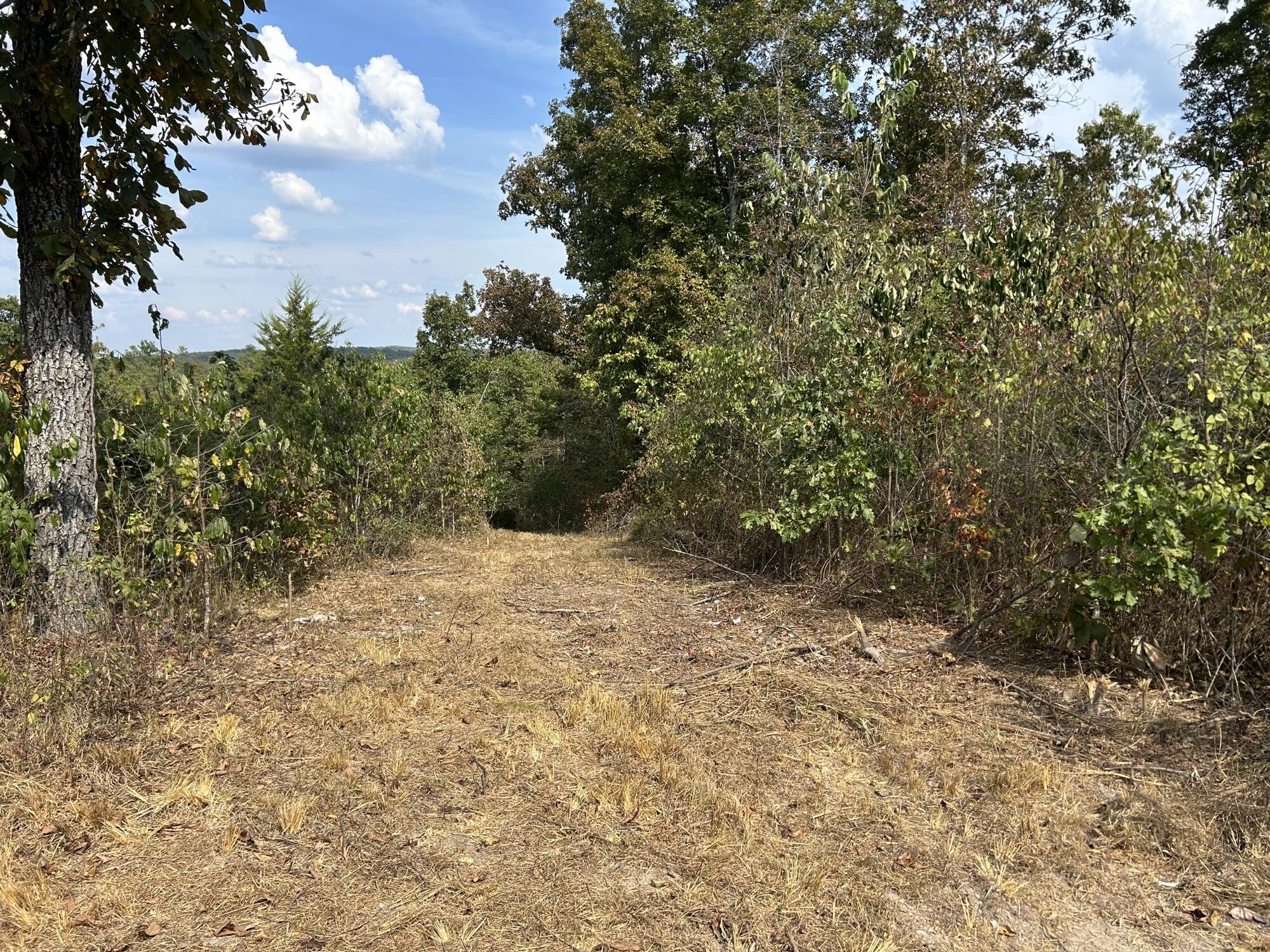 Photo 13 - Land for sale – Hc 73  Box 4925 (Track 20)   Drury, MO