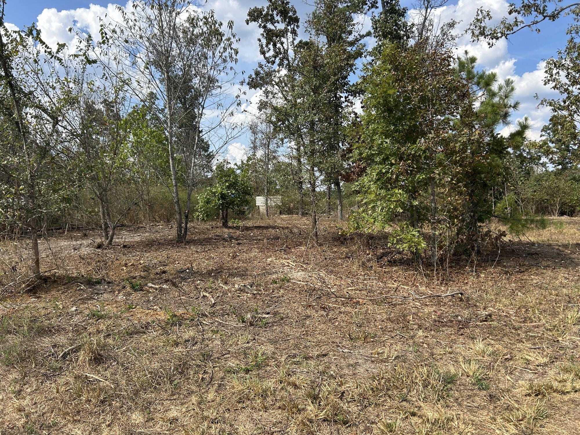 Photo 7 - Land for sale – Hc 73  Box 4925 (Track 20)   Drury, MO