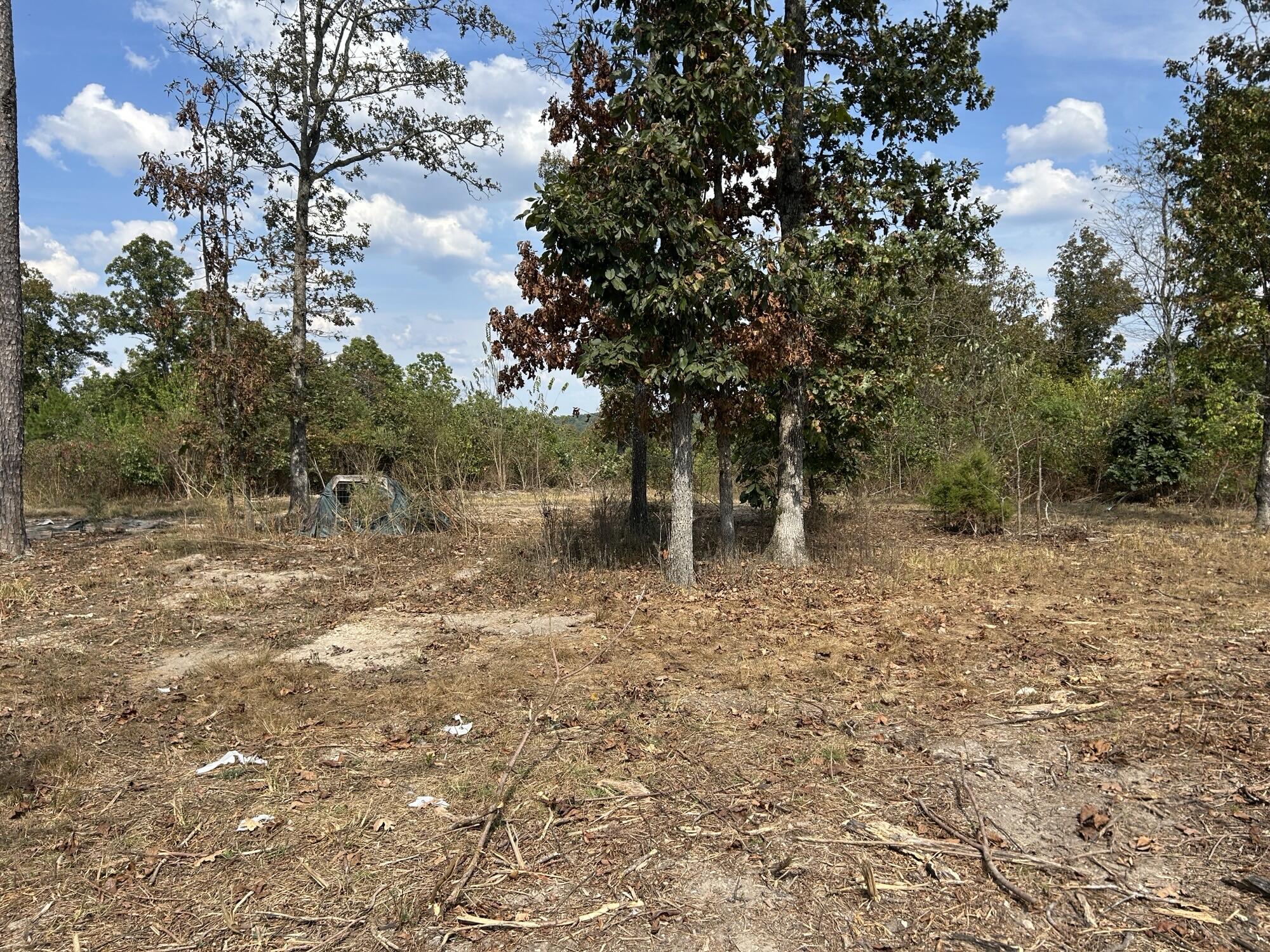 Photo 8 - Land for sale – Hc 73  Box 4925 (Track 20)   Drury, MO