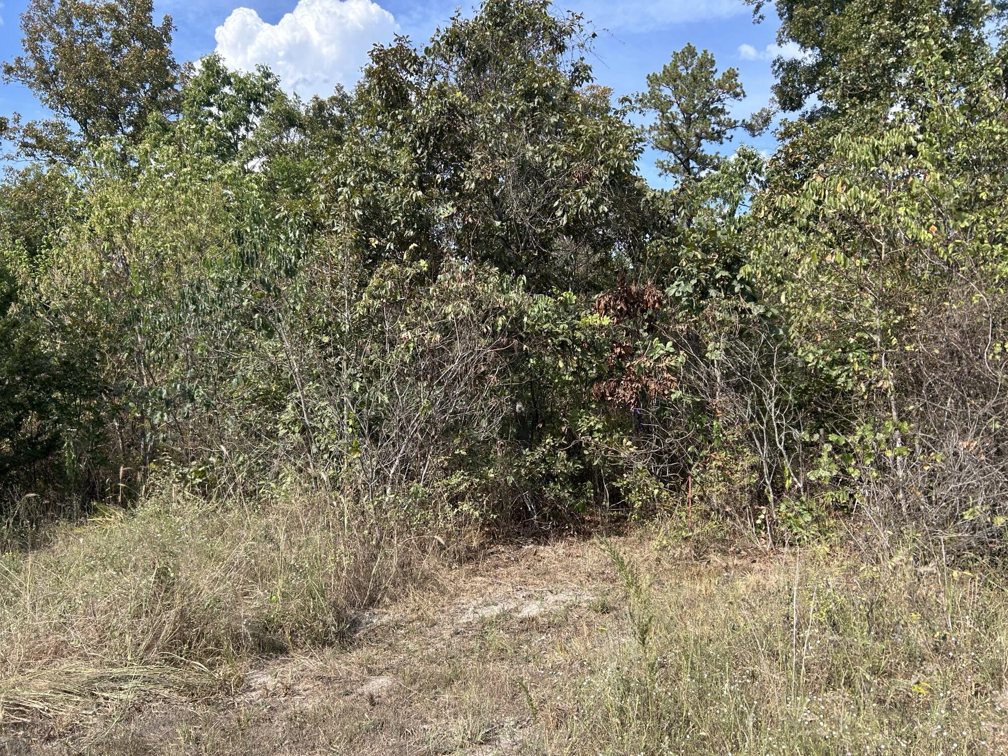 Photo 24 - Land for sale – Hc 73  Box 4925 (Track 20)   Drury, MO