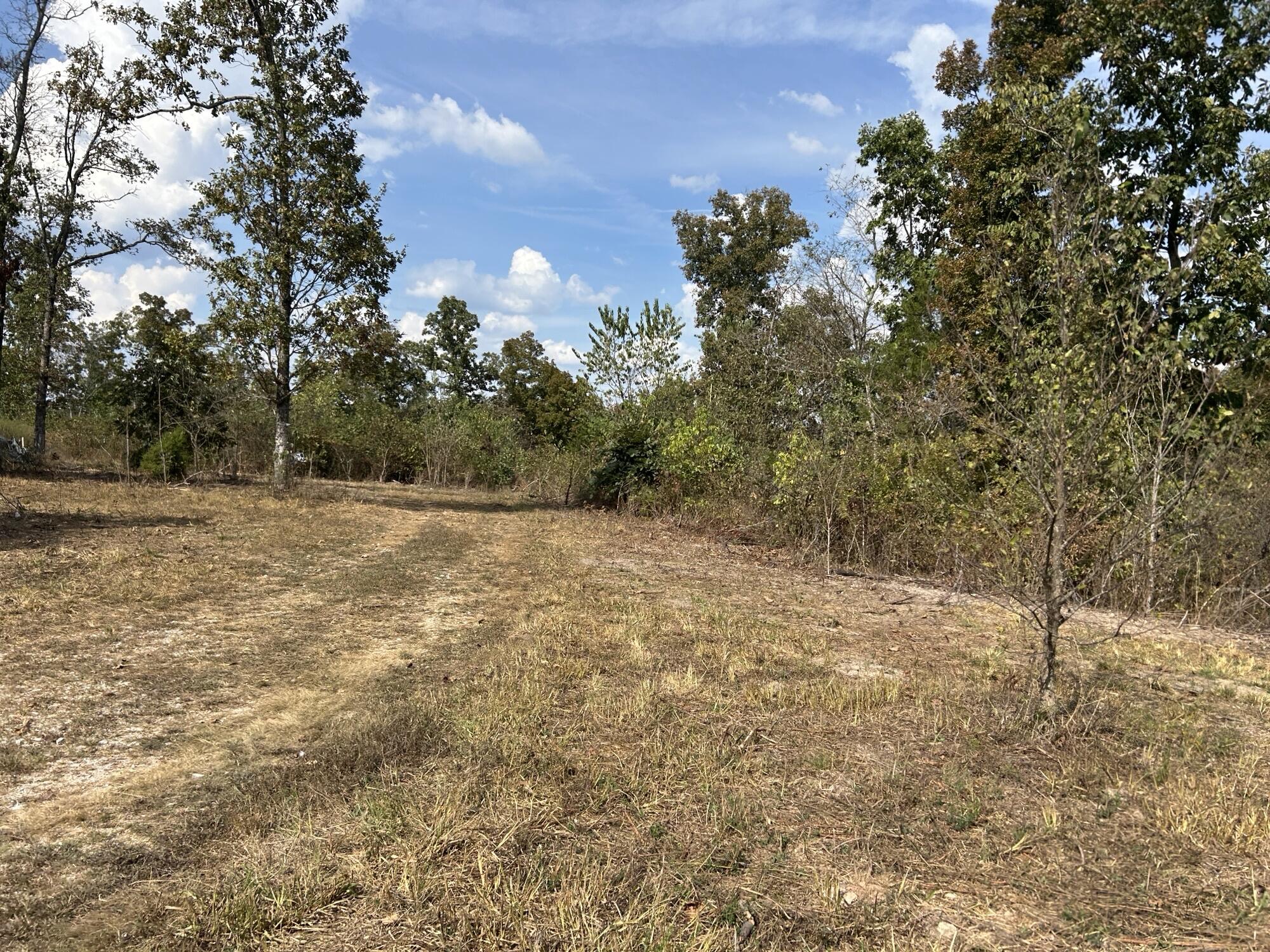 Photo 3 - Land for sale – Hc 73  Box 4925 (Track 20)   Drury, MO