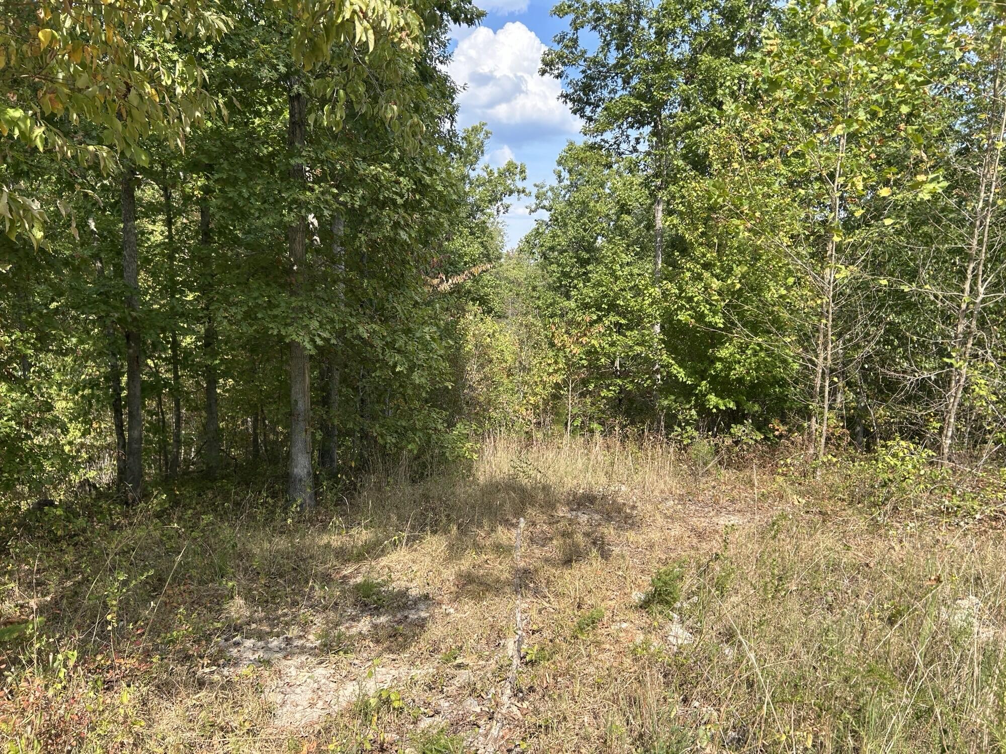Land for sale – Hc 73  Box 4925 (Track 20)   Drury, MO