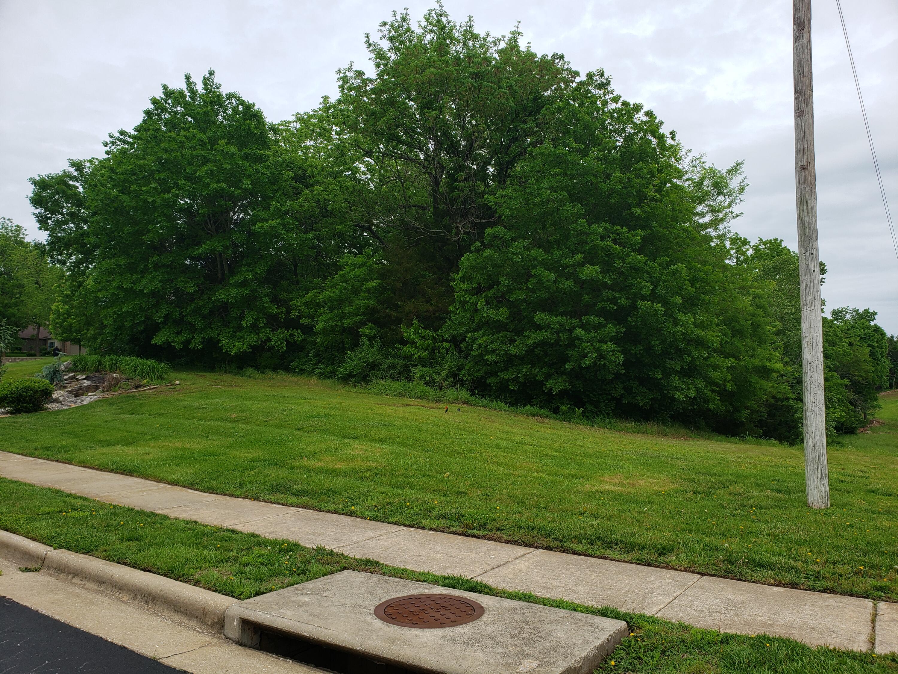 Photo 6 - Land for sale – 5396 S Woodfield Avenue  Springfield, MO