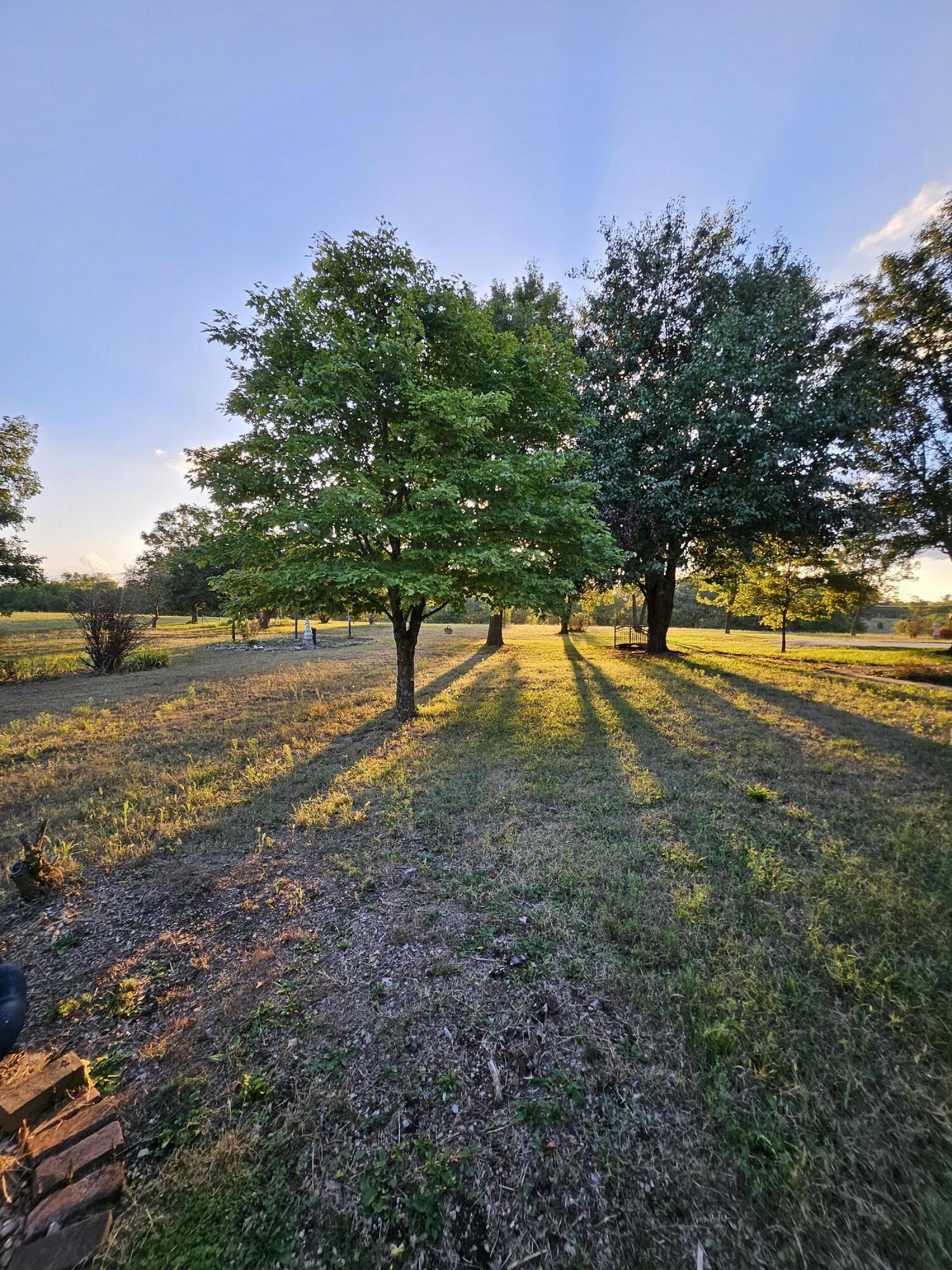 Photo 61 - Farm for sale – 4353  Lawrence 2220   Pierce City, MO